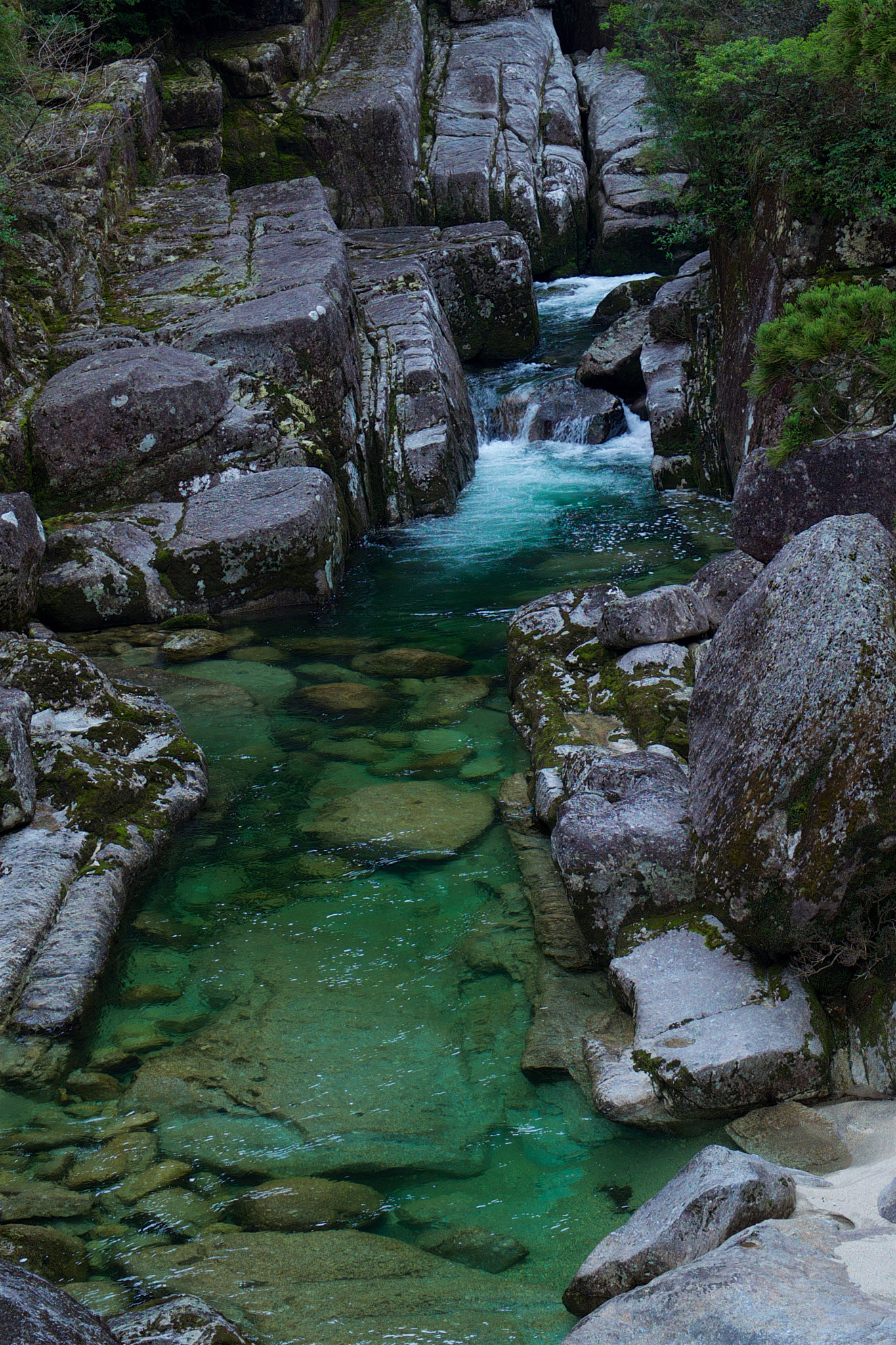 Sony a7S + Sony Vario Tessar T* FE 24-70mm F4 ZA OSS sample photo. A torrent of yakushima, japan photography