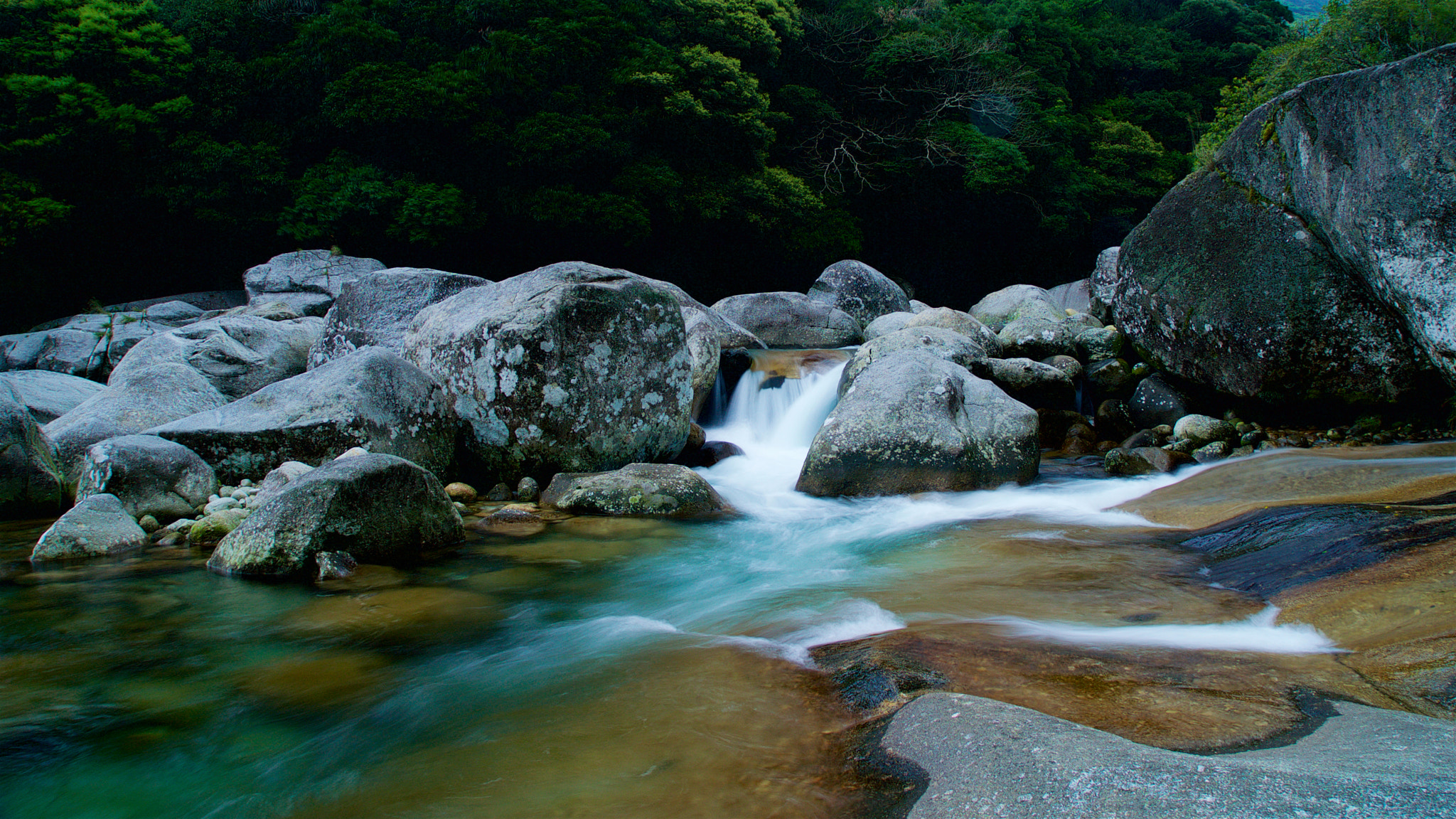 Sony a7S + Sony Vario Tessar T* FE 24-70mm F4 ZA OSS sample photo. A torrent of yakushima, japan photography