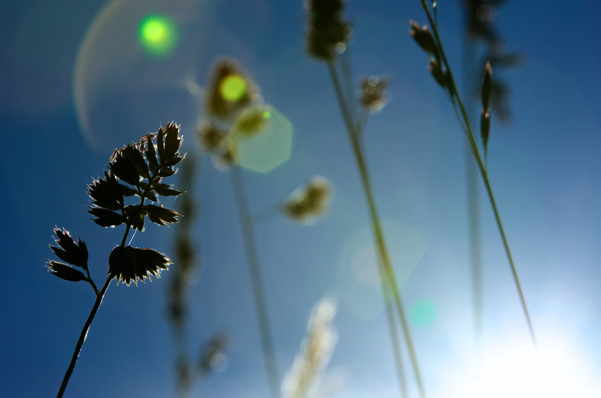 Pentax K-5 II sample photo. Peak experiences photography