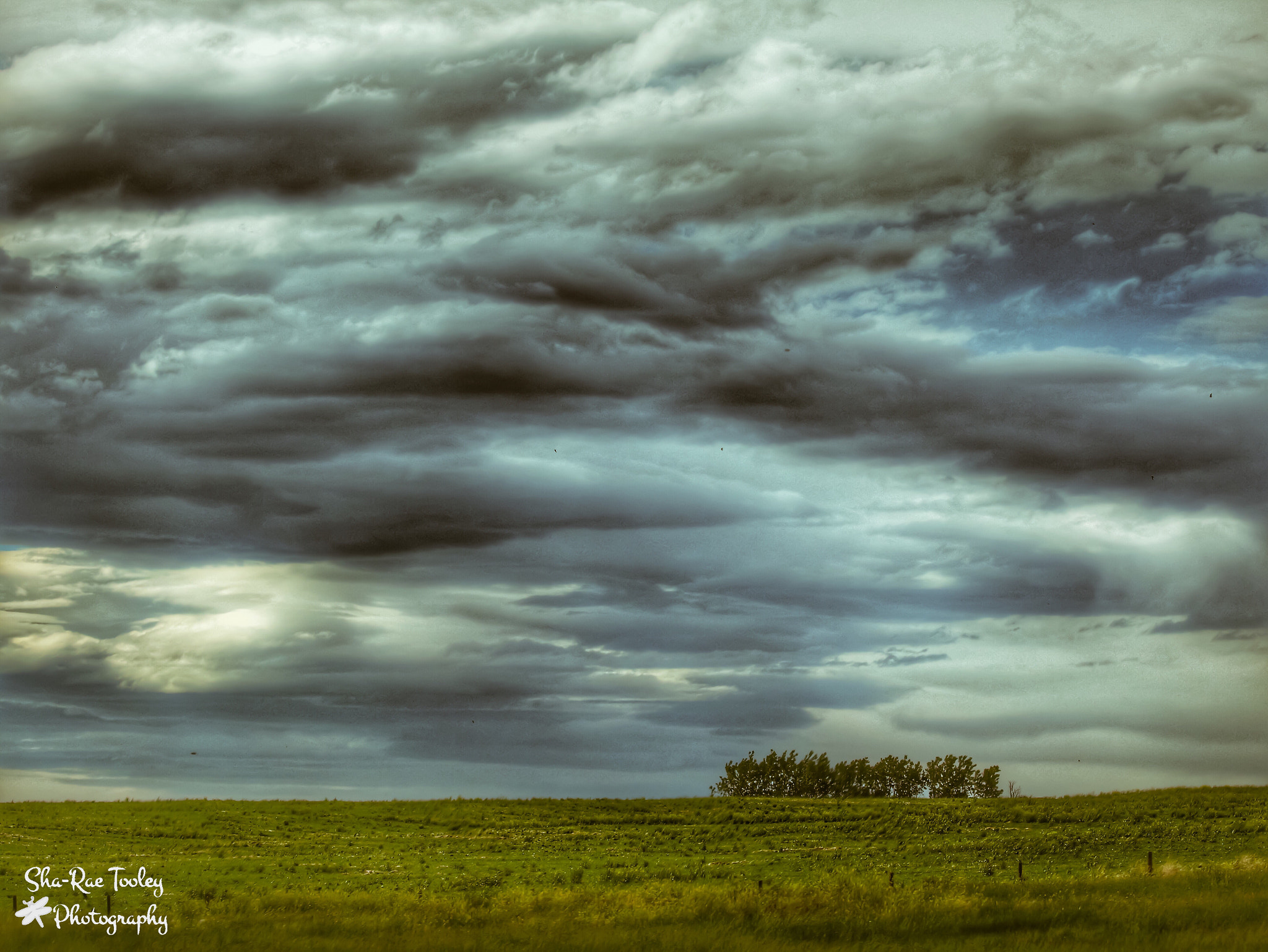 Canon EF 70-300mm F4-5.6 IS USM sample photo. The thunder rolls photography