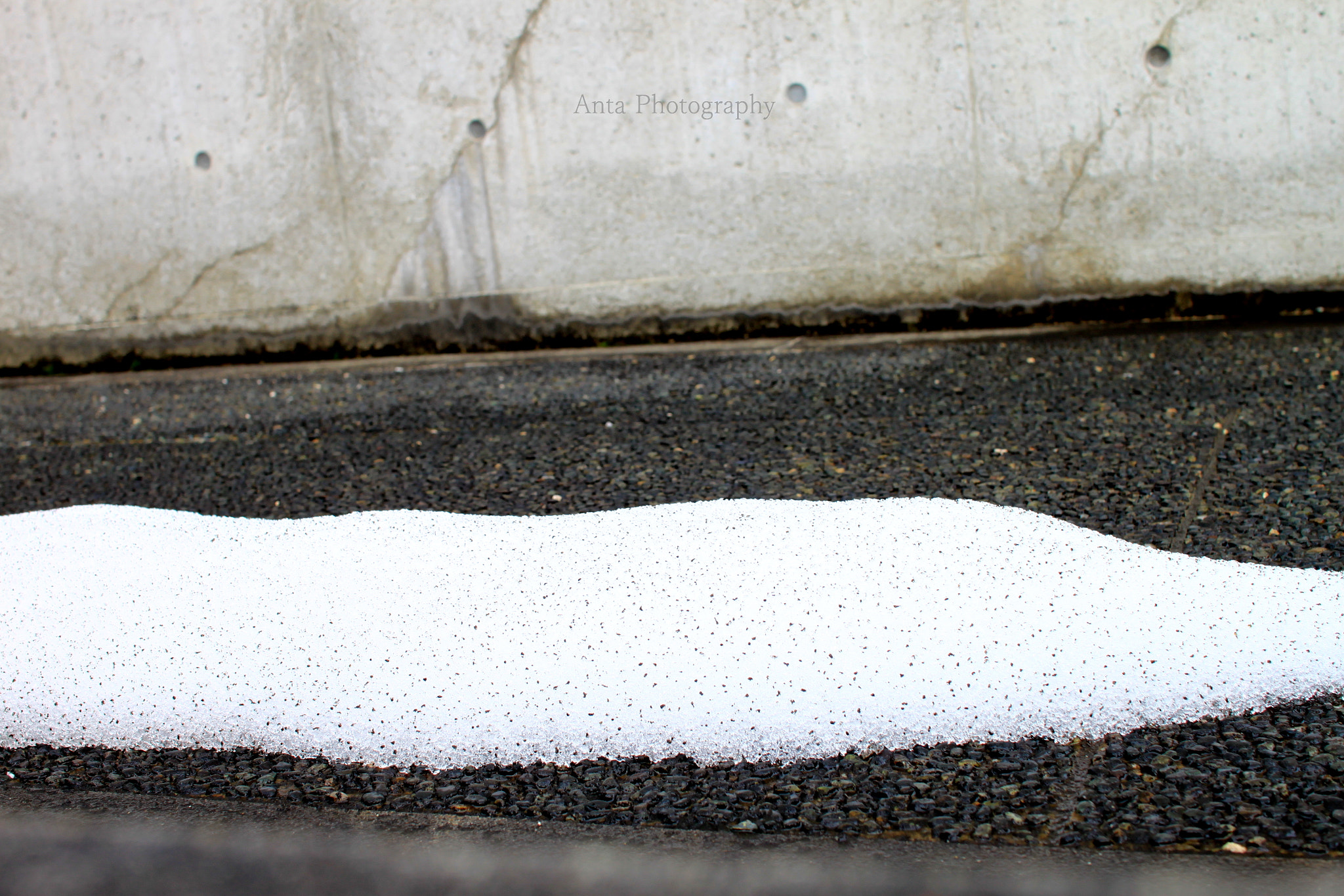 Sigma 30mm F1.4 EX DC HSM sample photo. Wonder shed of winter photography