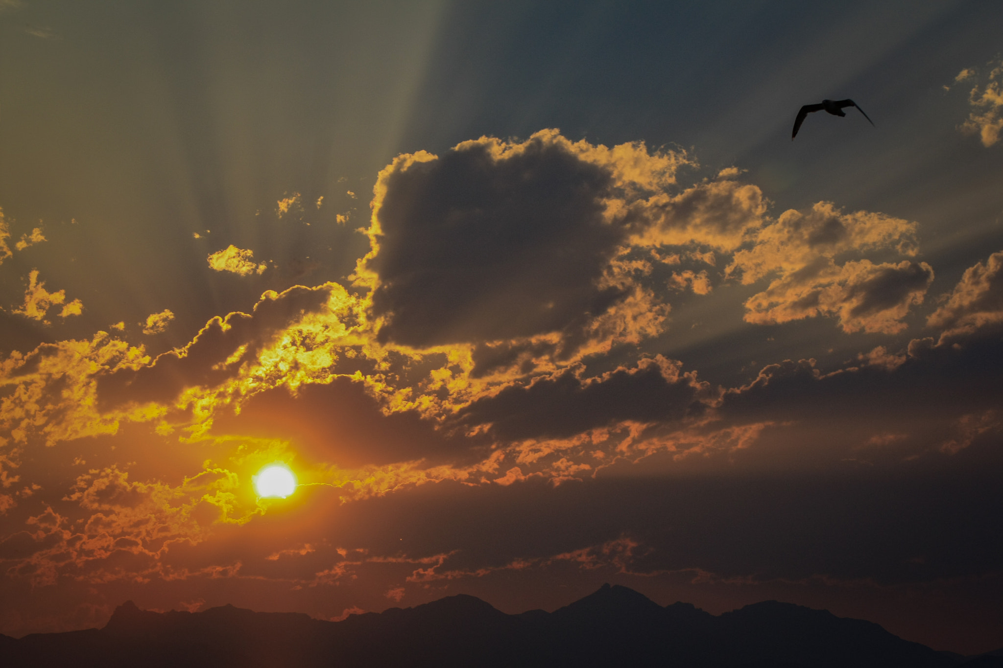 Canon EF 75-300mm f/4-5.6 USM sample photo. Brilliant sunset photography