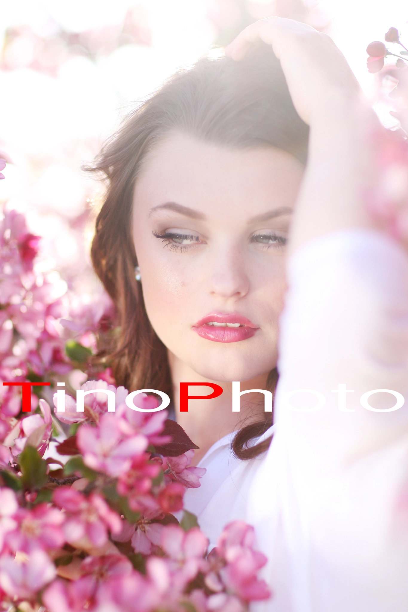 Canon EOS-1D Mark III sample photo. Imgl2411.jpg photography