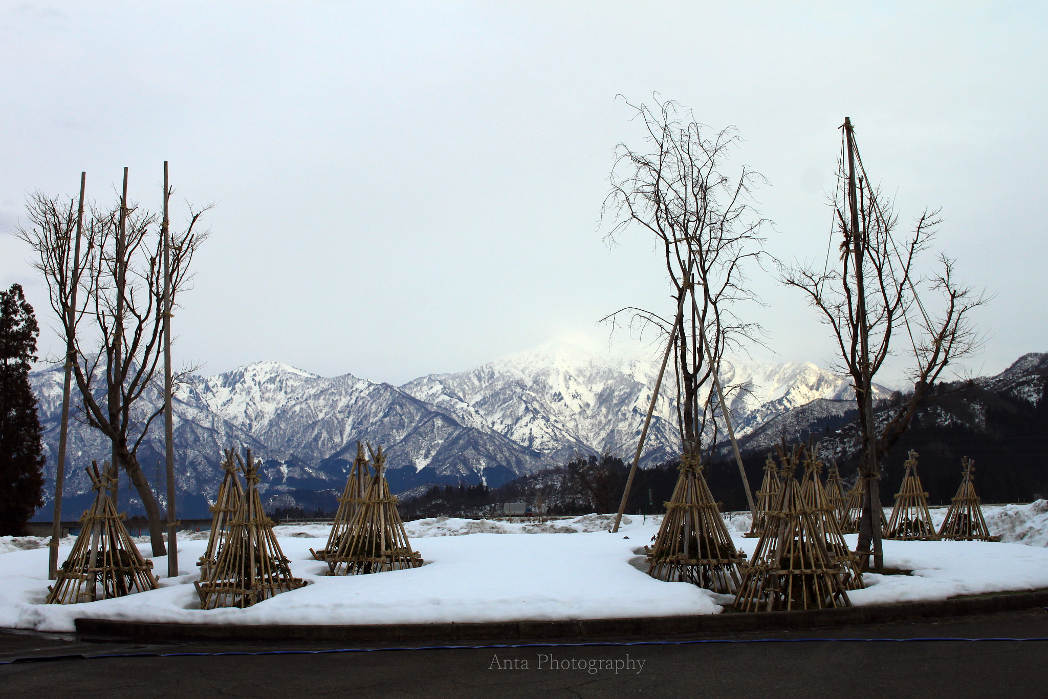 Sigma 30mm F1.4 EX DC HSM sample photo. Wonder shed of winter photography