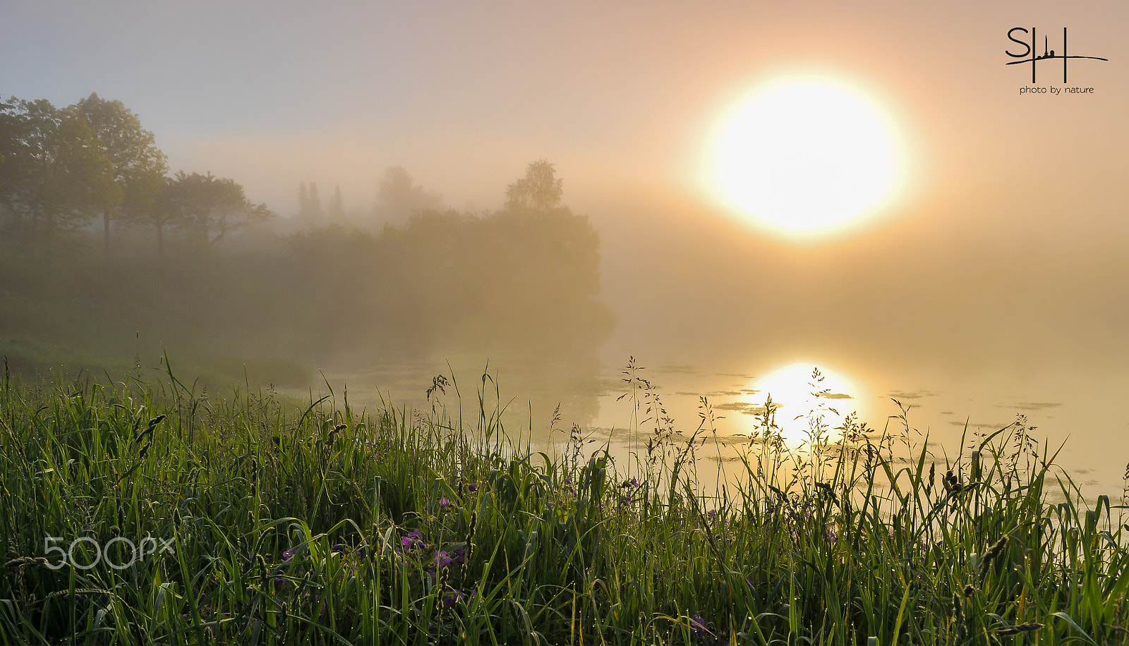 Nikon D300 + Sigma 18-50mm F2.8-4.5 DC OS HSM sample photo. Eschenbach im nebel photography