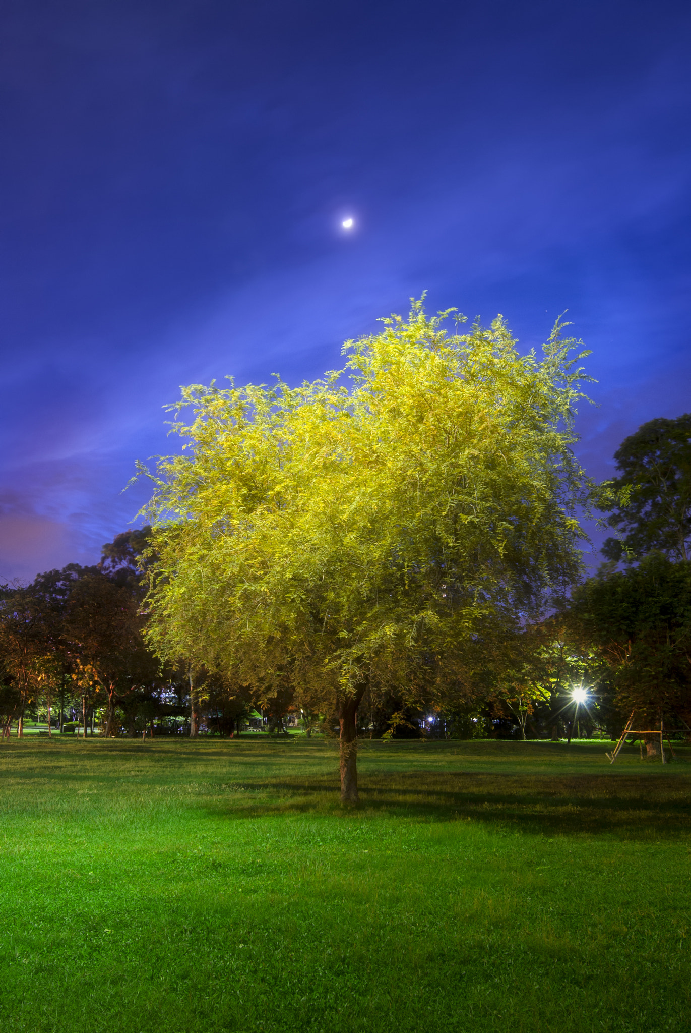 Nikon AF-S Nikkor 16-35mm F4G ED VR sample photo. Moonlit photography