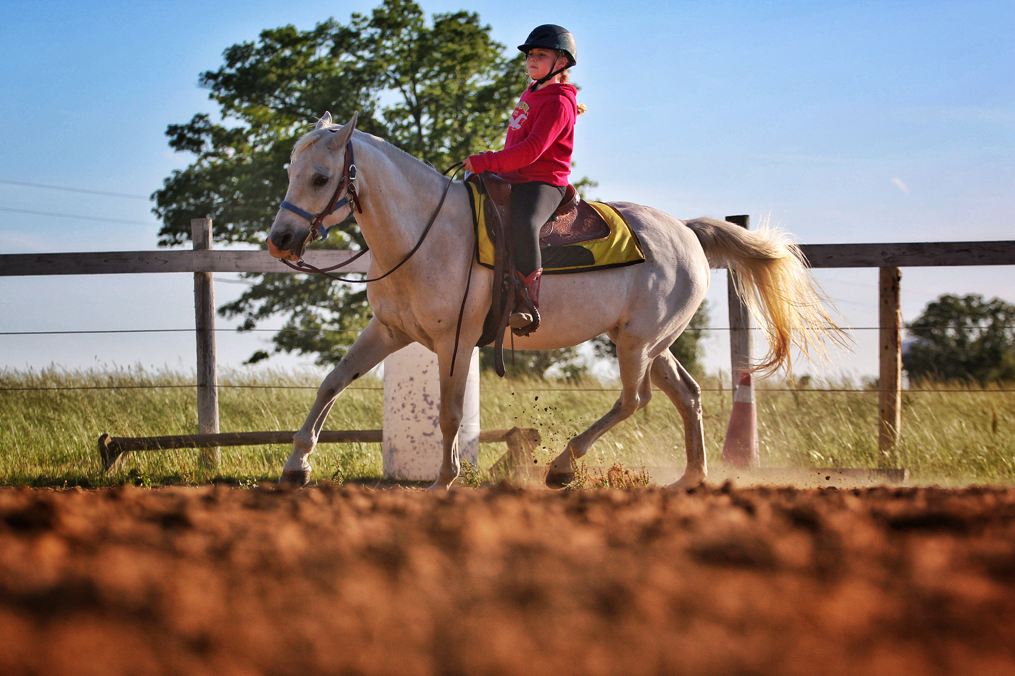 Canon EF 70-200mm F4L USM sample photo. Training day photography