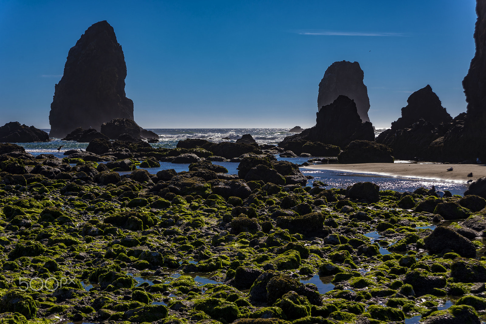 AF Zoom-Nikkor 24-120mm f/3.5-5.6D IF sample photo. Low tide at cannon beach, oregon photography