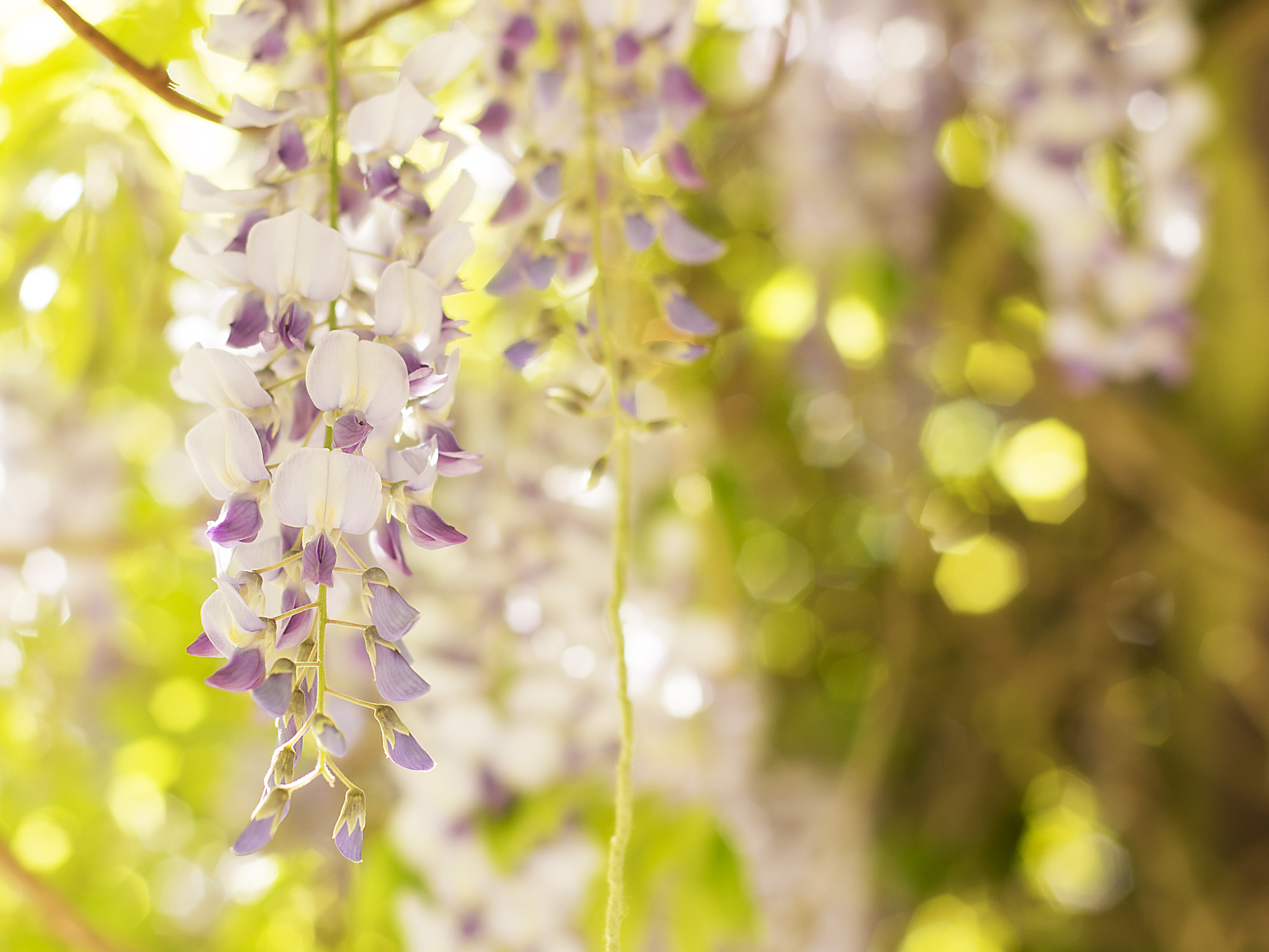 Nikon D800E + Nikon AF Nikkor 50mm F1.8D sample photo. Peaceful calm photography