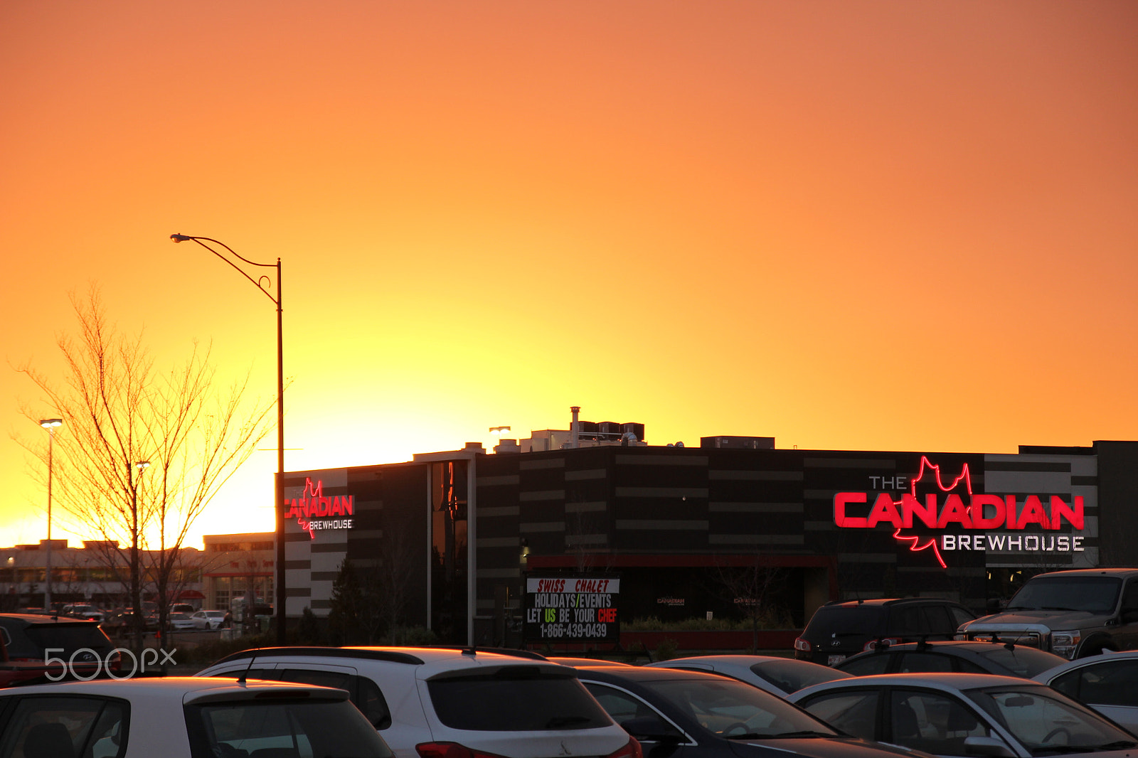 Canon EOS 550D (EOS Rebel T2i / EOS Kiss X4) sample photo. Sunset at the leduc common photography