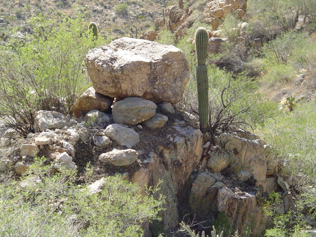 Sony DSC-P52 sample photo. Deserted cactus photography