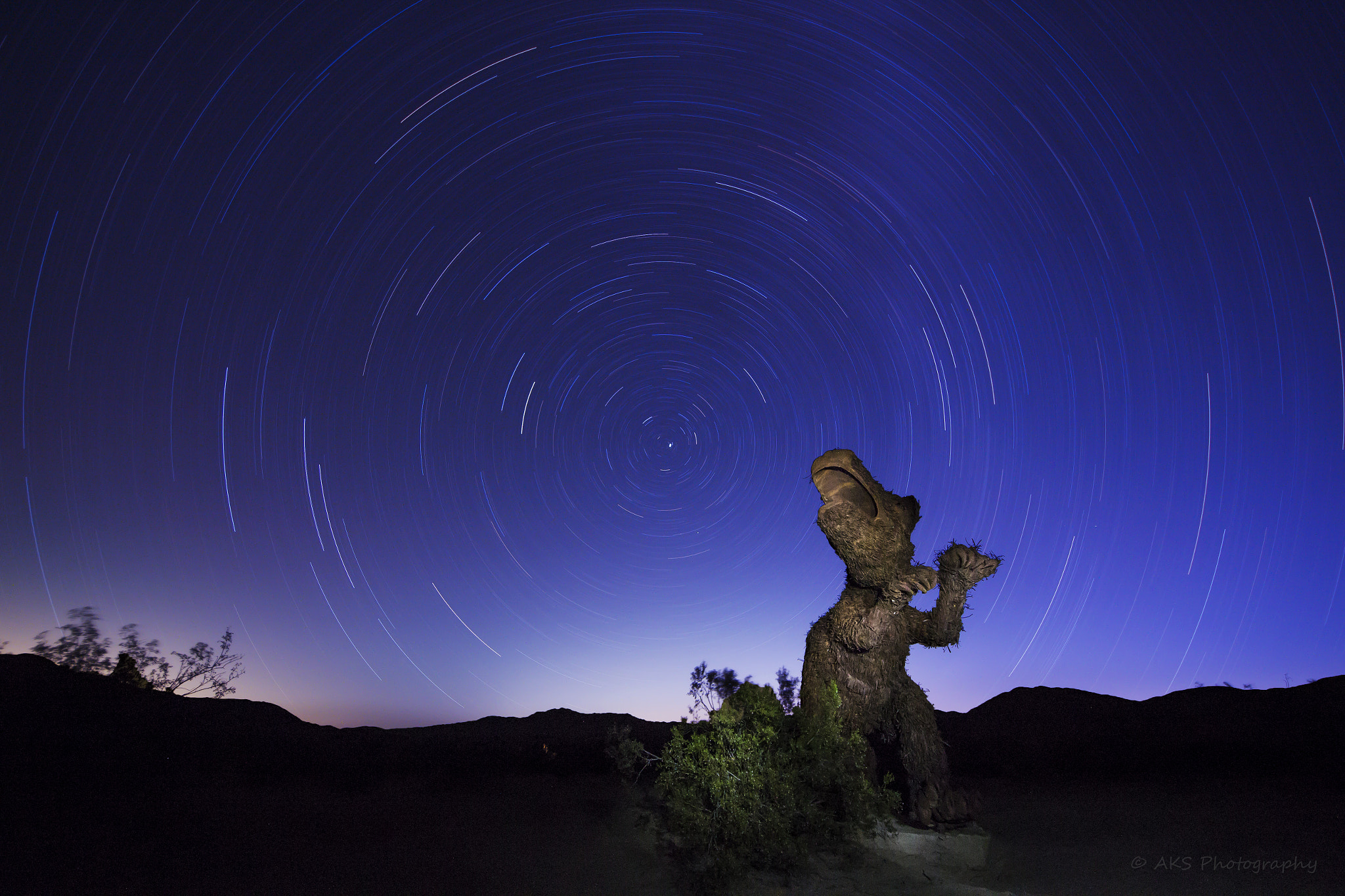 Sigma 8-16mm F4.5-5.6 DC HSM sample photo. Into the wormhole! photography