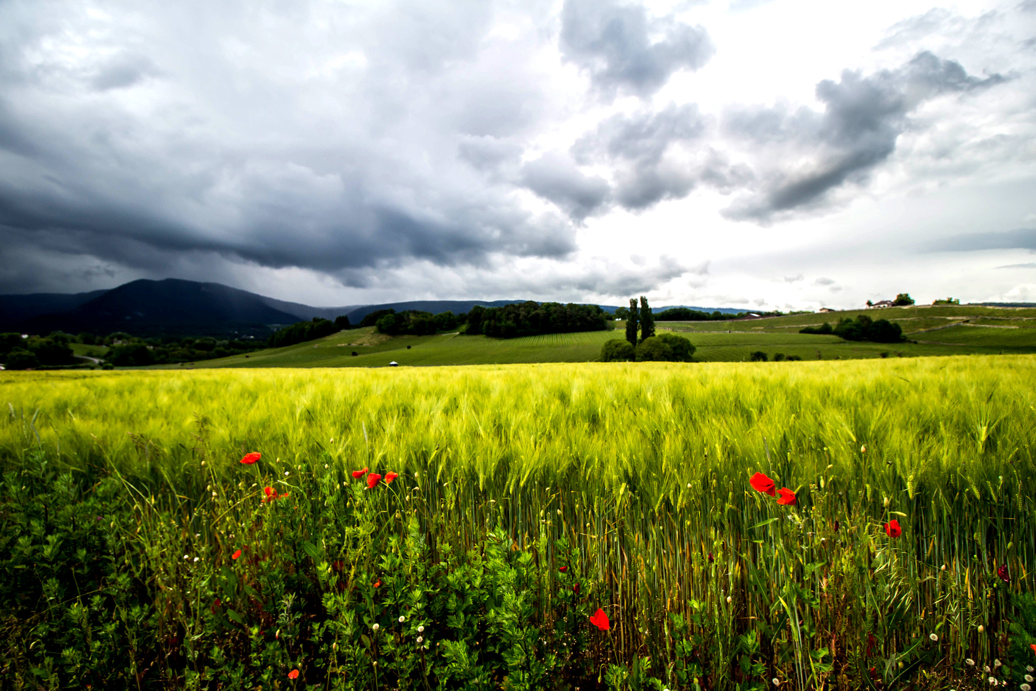Canon EF-S 10-18mm F4.5–5.6 IS STM sample photo. Boudry photography