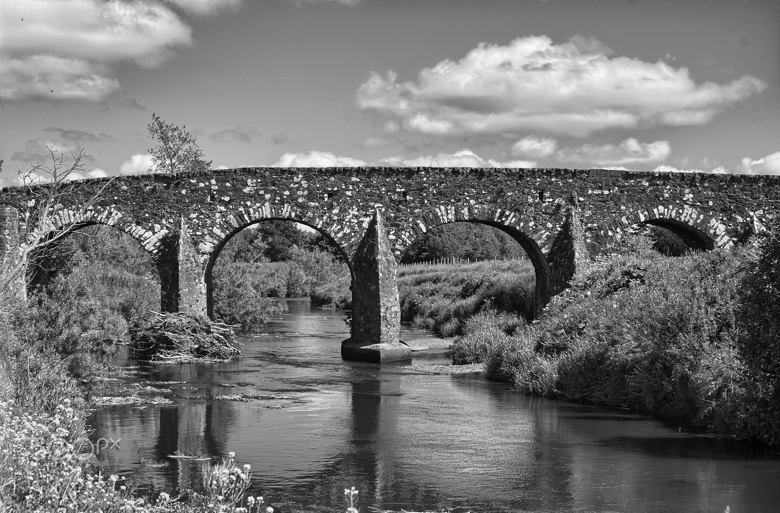 smc PENTAX-F MACRO 50mm F2.8 sample photo. Curran bridge photography