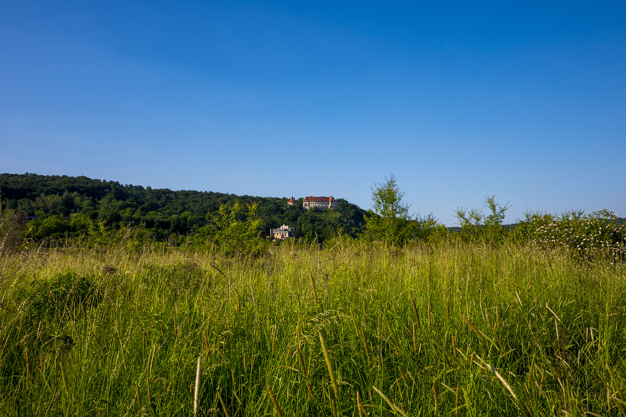 Panasonic Lumix DMC-GX7 + Panasonic Lumix G 14mm F2.5 ASPH sample photo. Castle photography