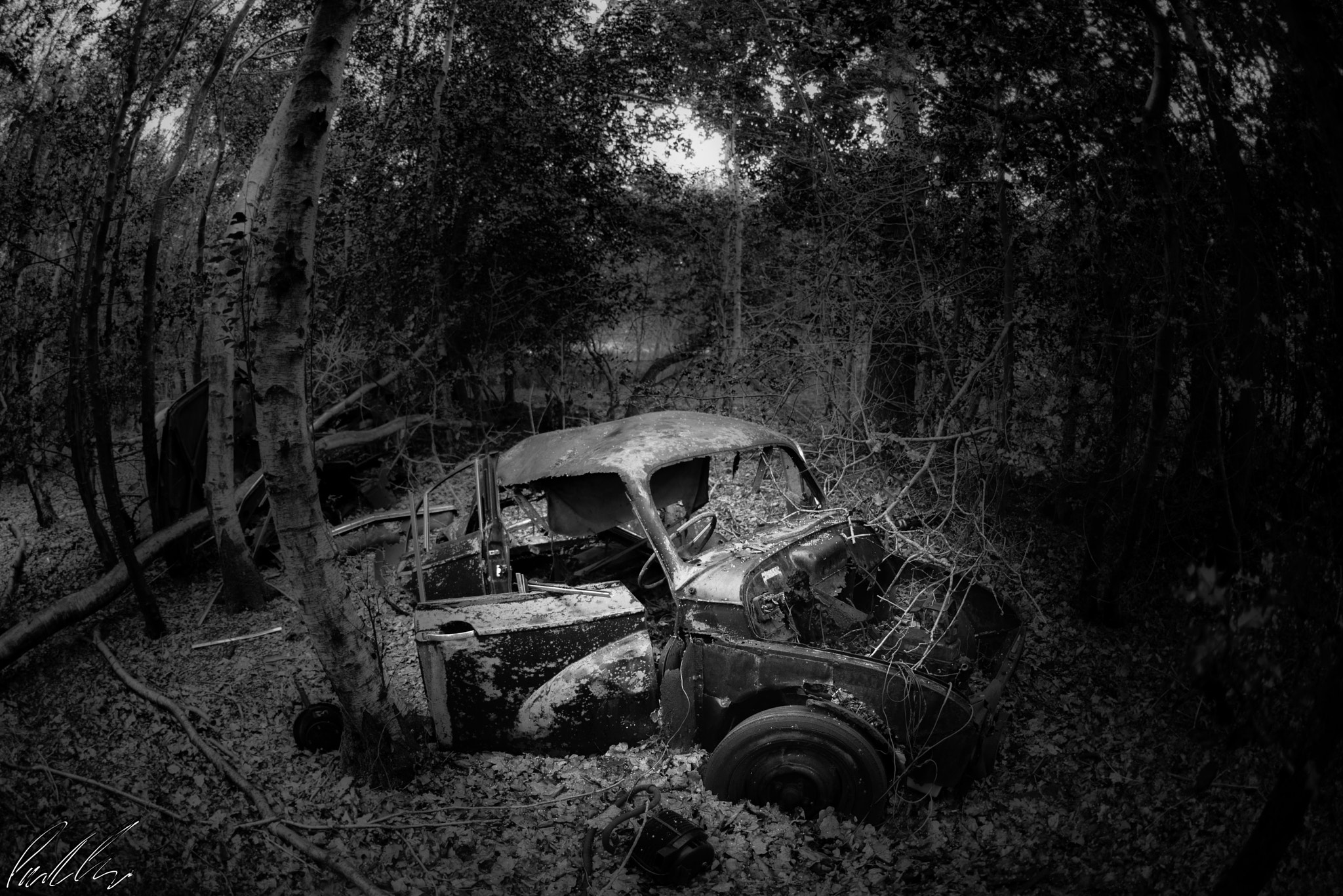 Nikon D800 + Sigma 15mm F2.8 EX DG Diagonal Fisheye sample photo. Rust photography