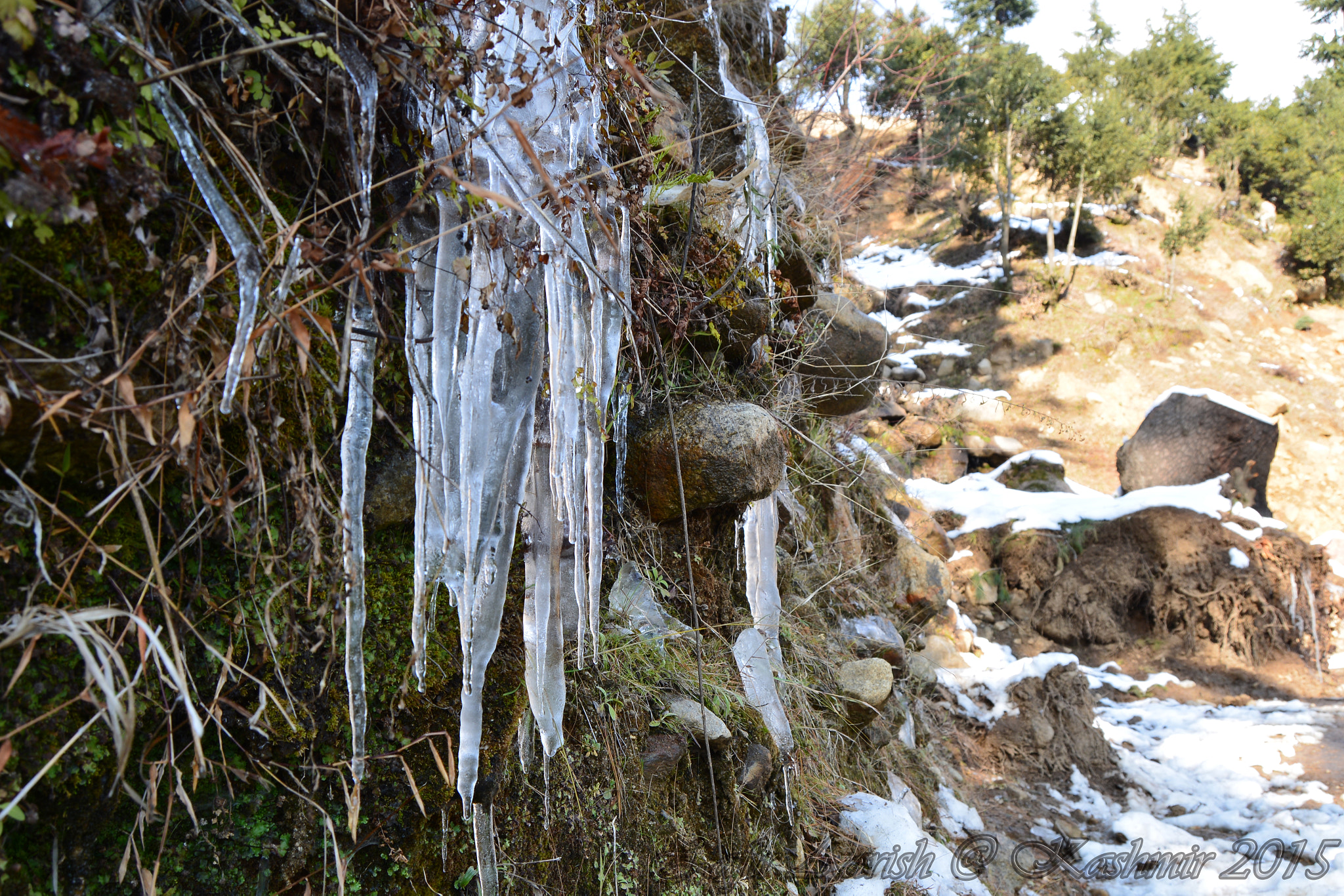 Nikon D5200 + Nikon AF-S Nikkor 300mm F4D ED-IF sample photo. The frozen crystals photography