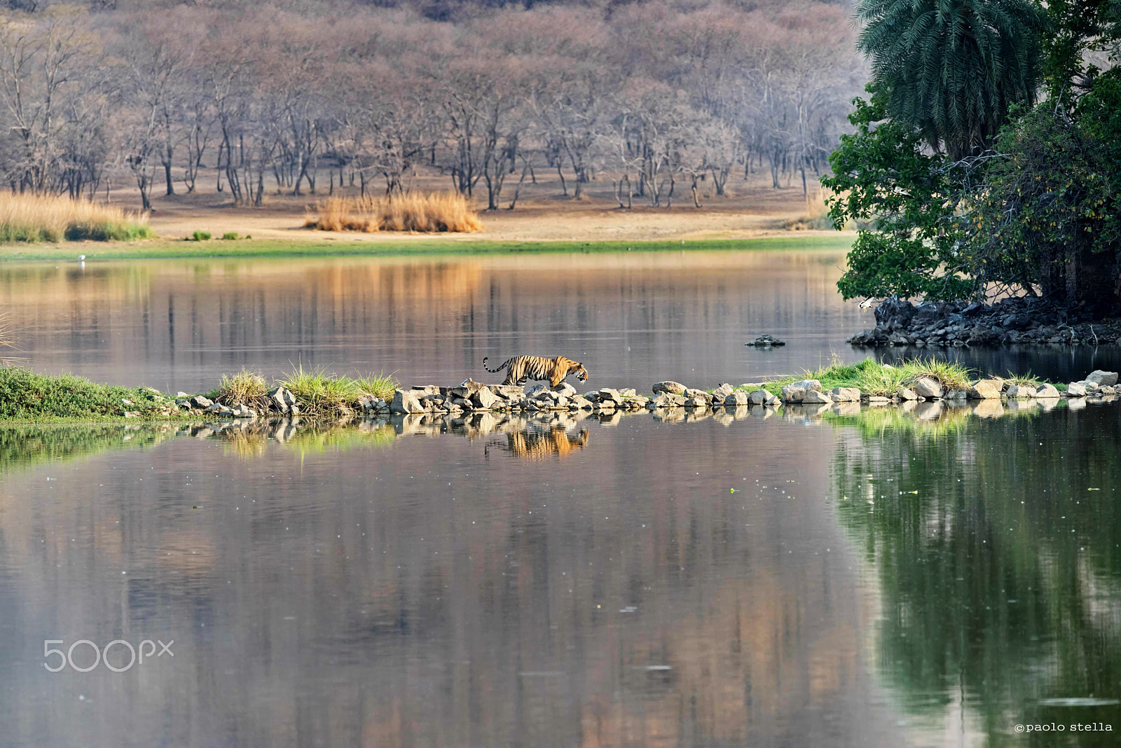 Nikon AF-S Nikkor 400mm F2.8E FL ED VR sample photo. The bridge over the water photography