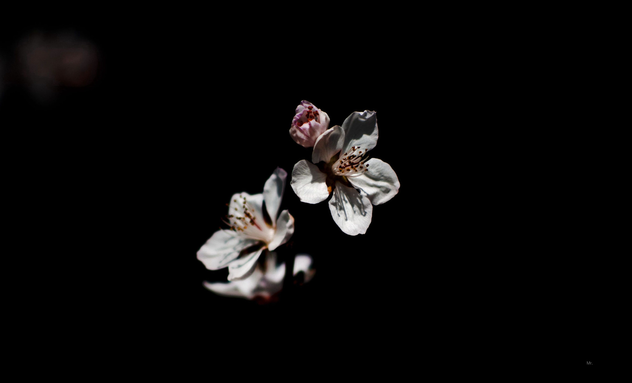 Nikon D80 + AF Nikkor 70-210mm f/4-5.6D sample photo. 副本 副本 photography