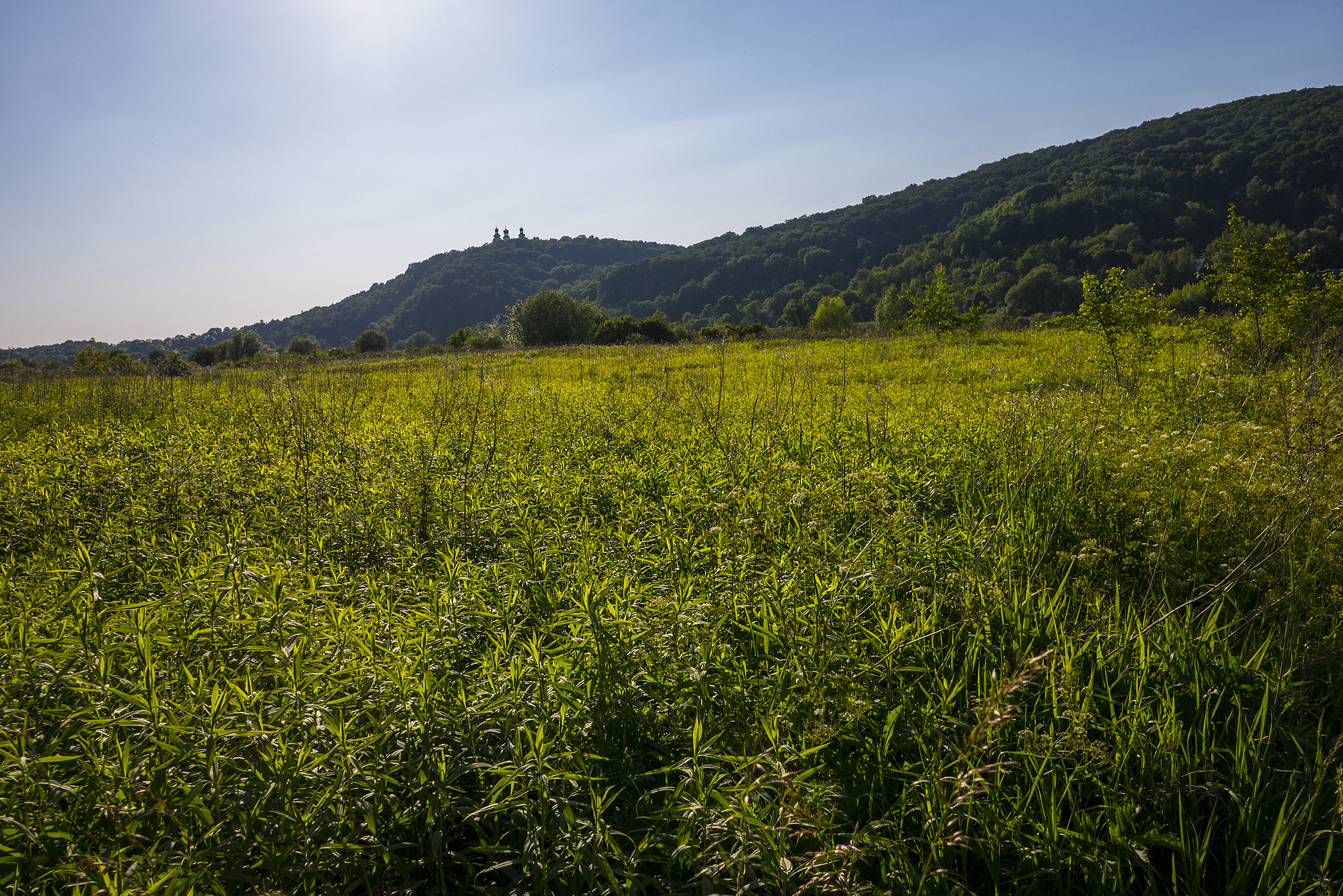 Panasonic Lumix DMC-GX7 + Panasonic Lumix G 14mm F2.5 ASPH sample photo. Three towers photography