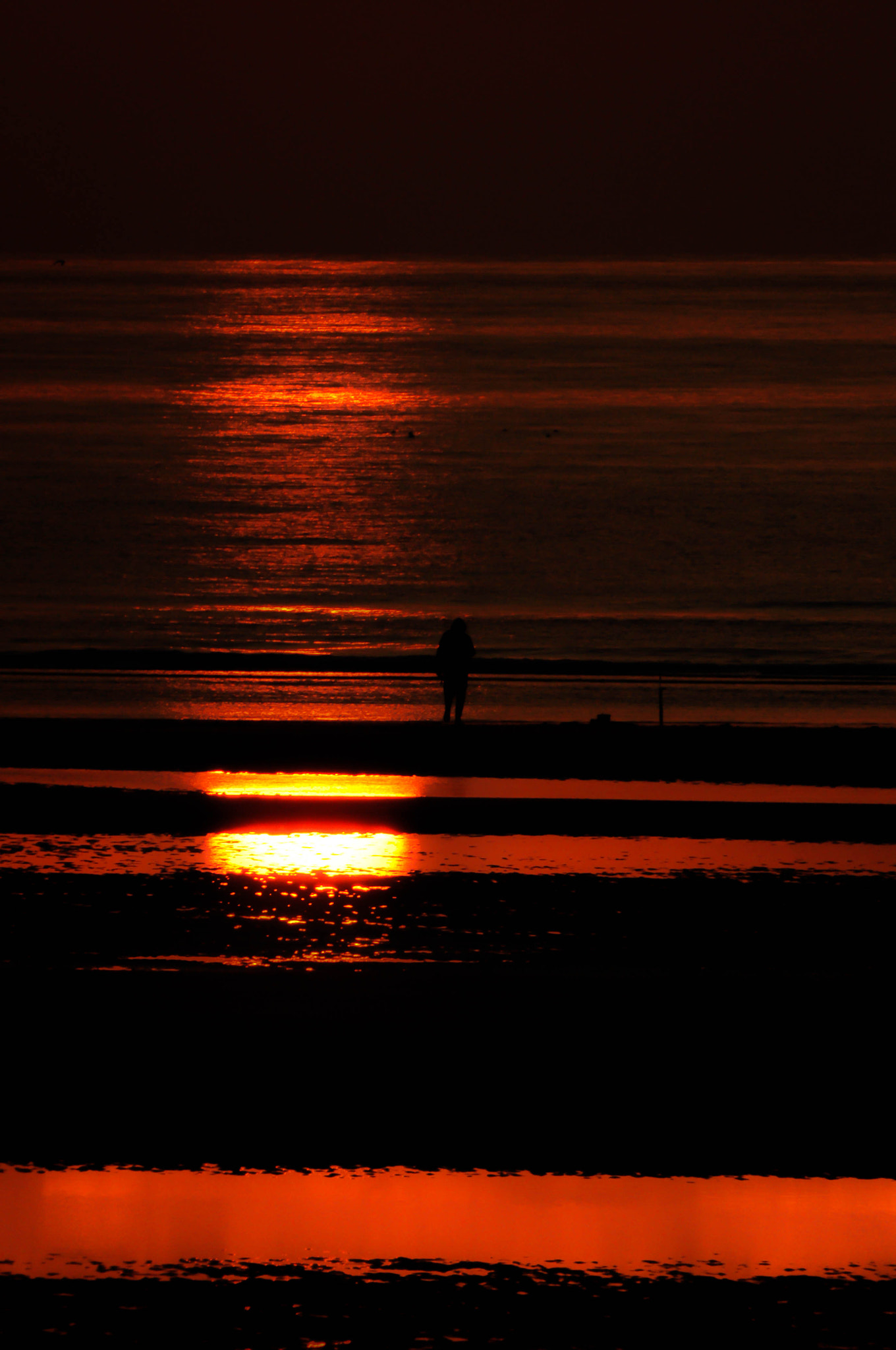 Nikon D90 sample photo. A lonely fisherman photography