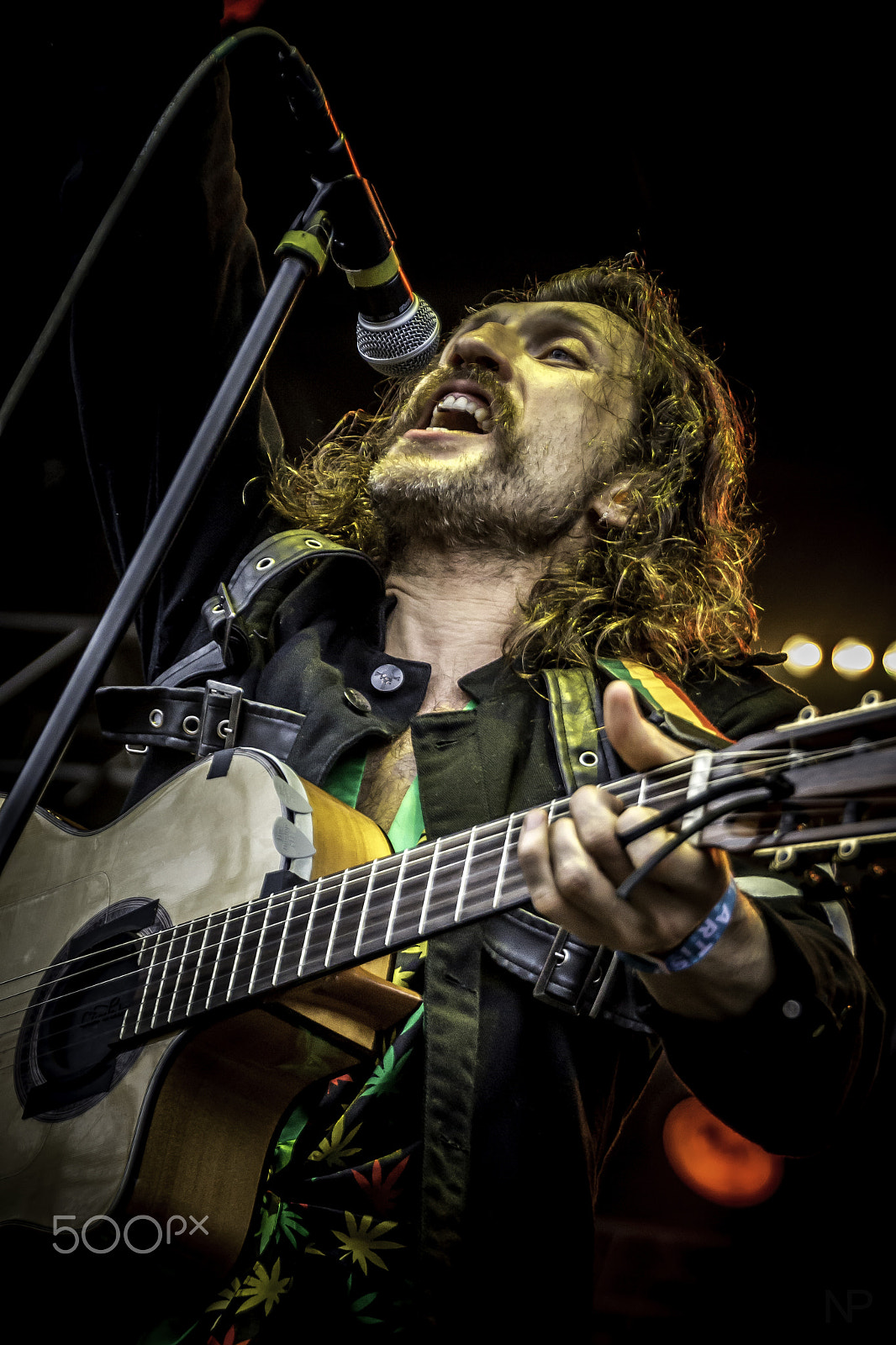 Nikon D600 sample photo. Gogol bordello 3 photography