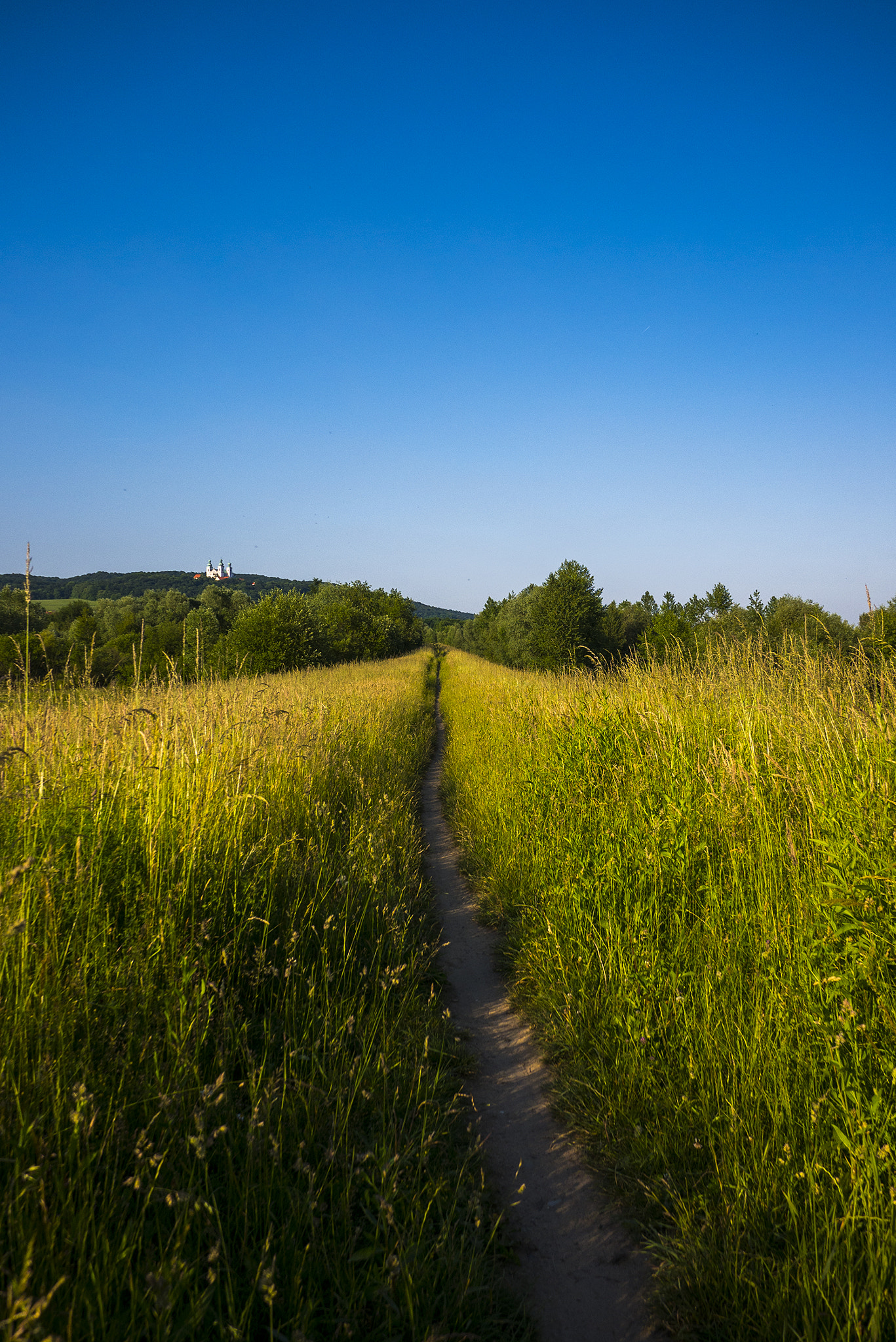 Panasonic Lumix DMC-GX7 + Panasonic Lumix G 14mm F2.5 ASPH sample photo. Path to monastery photography