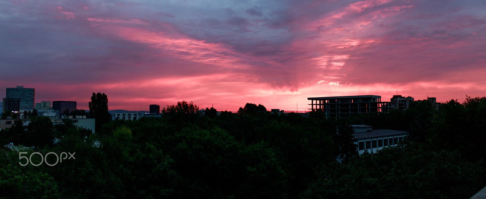 Canon EOS 760D (EOS Rebel T6s / EOS 8000D) sample photo. Woke up this morning photography