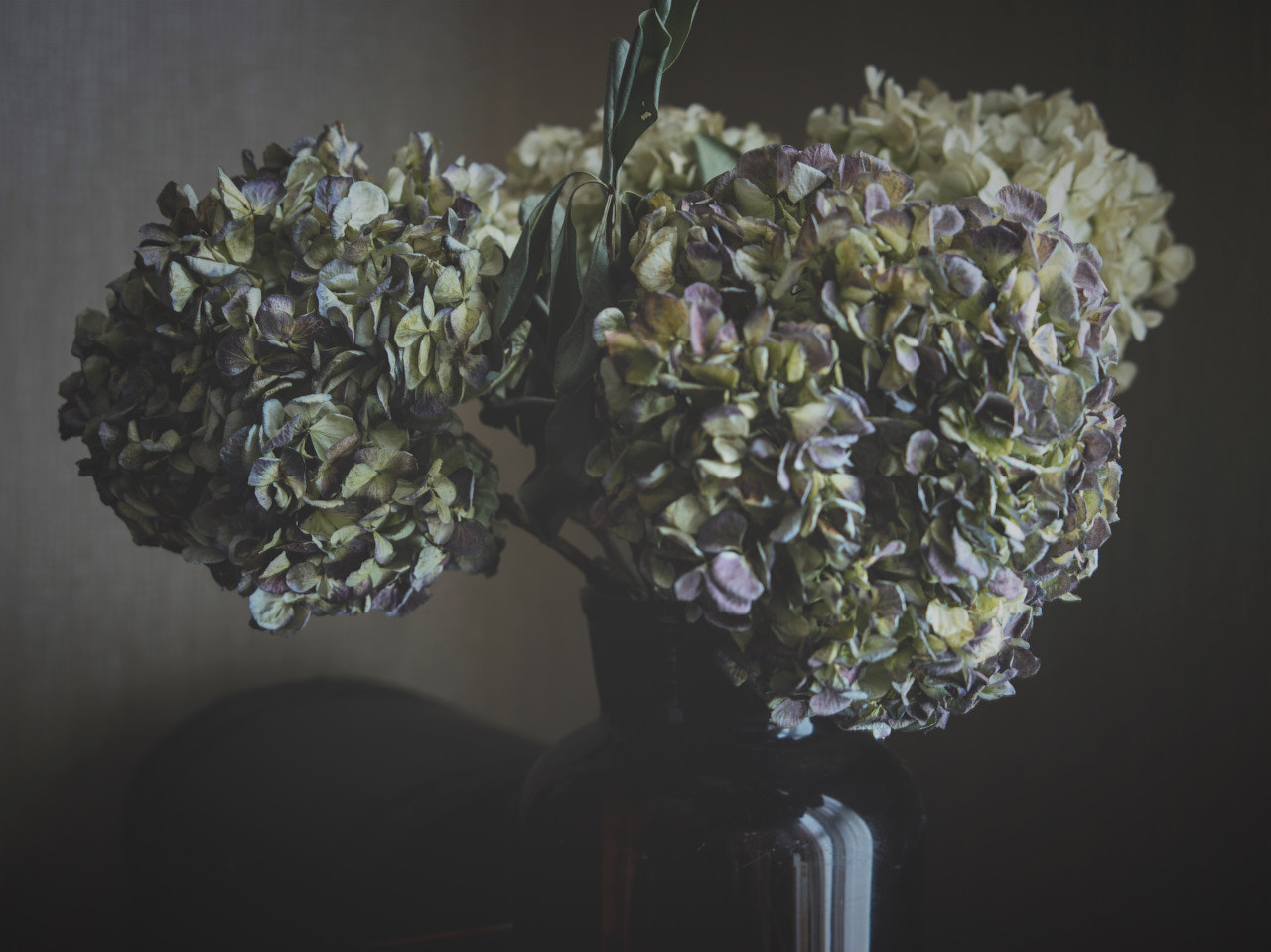 Phase One P40+ sample photo