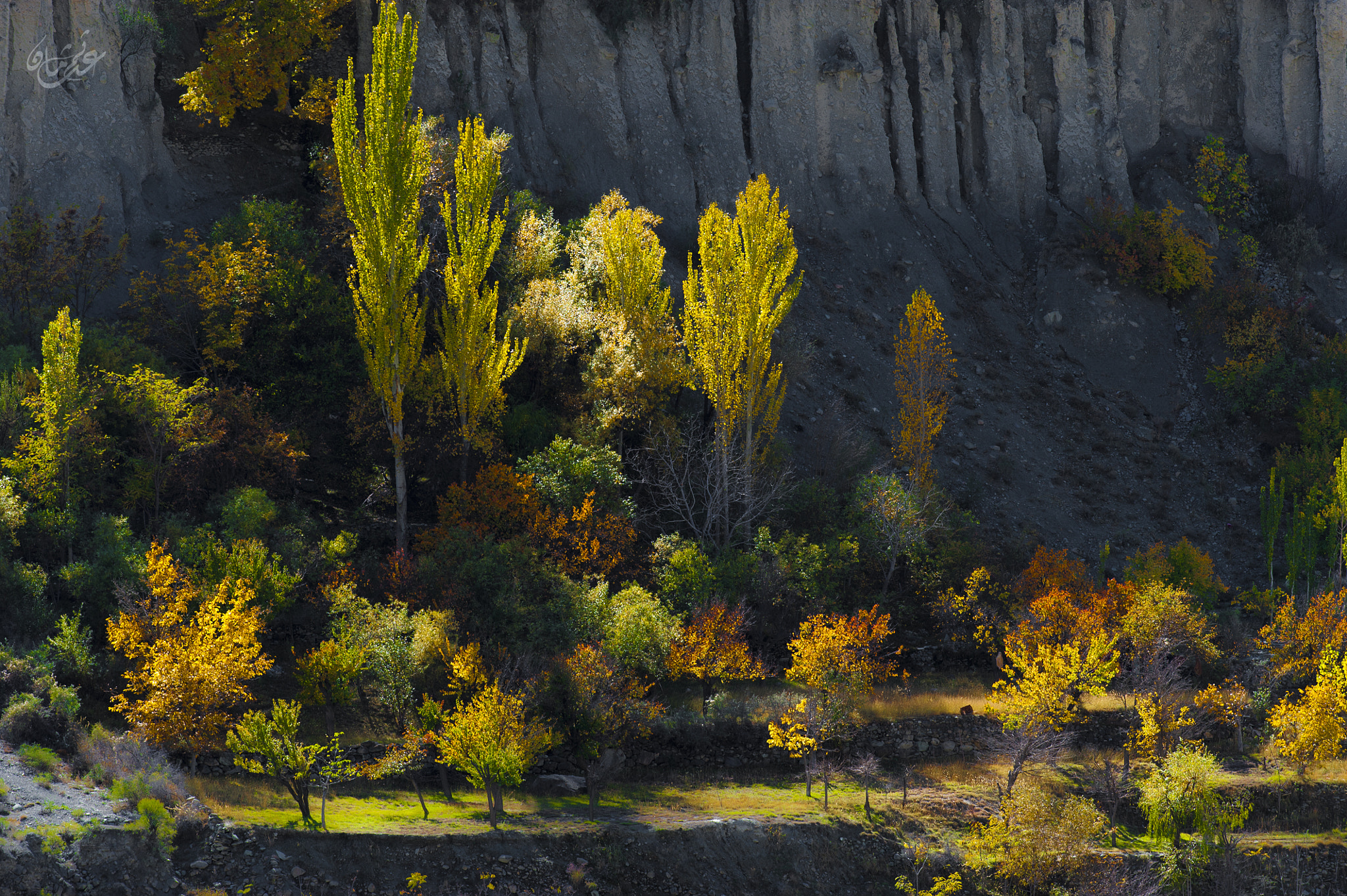 Nikon AF-S Nikkor 70-200mm F4G ED VR sample photo. Color of autumn photography