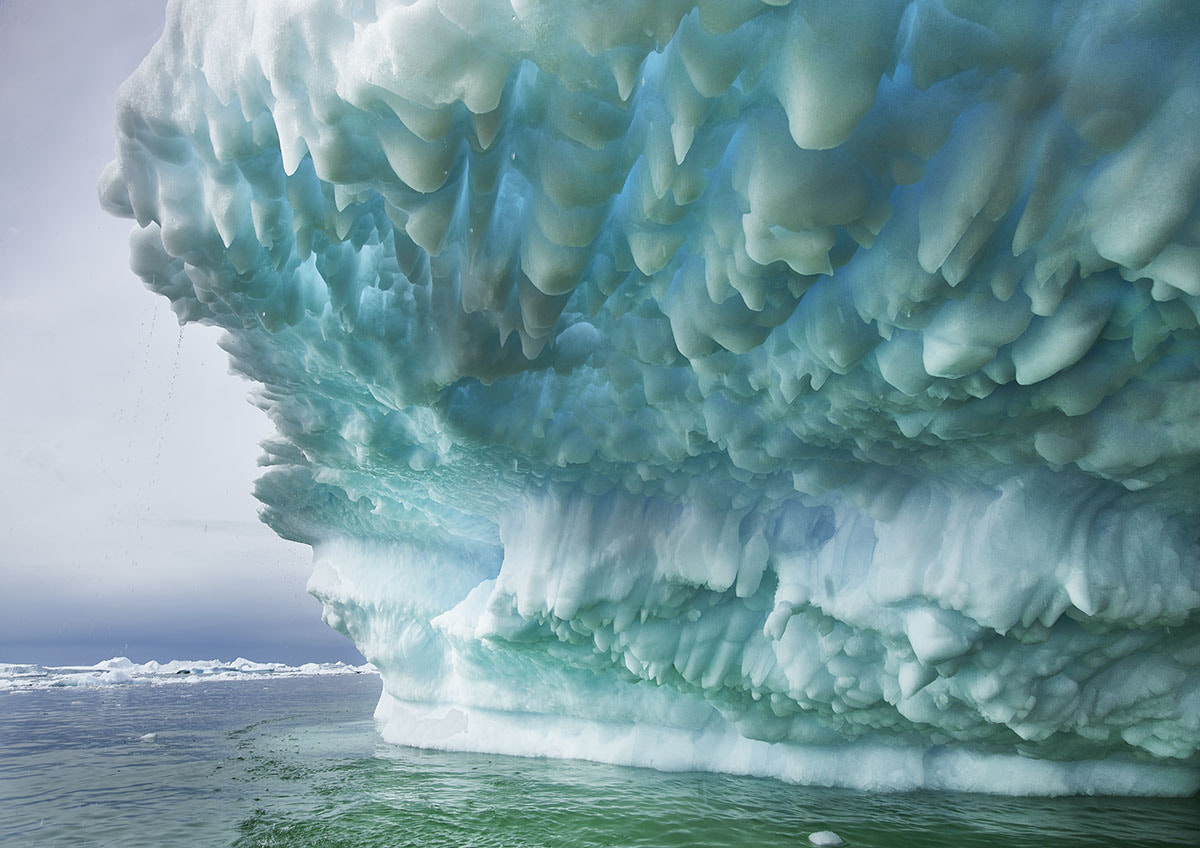 Phase One IQ260 sample photo. Breathing under the iceberg photography