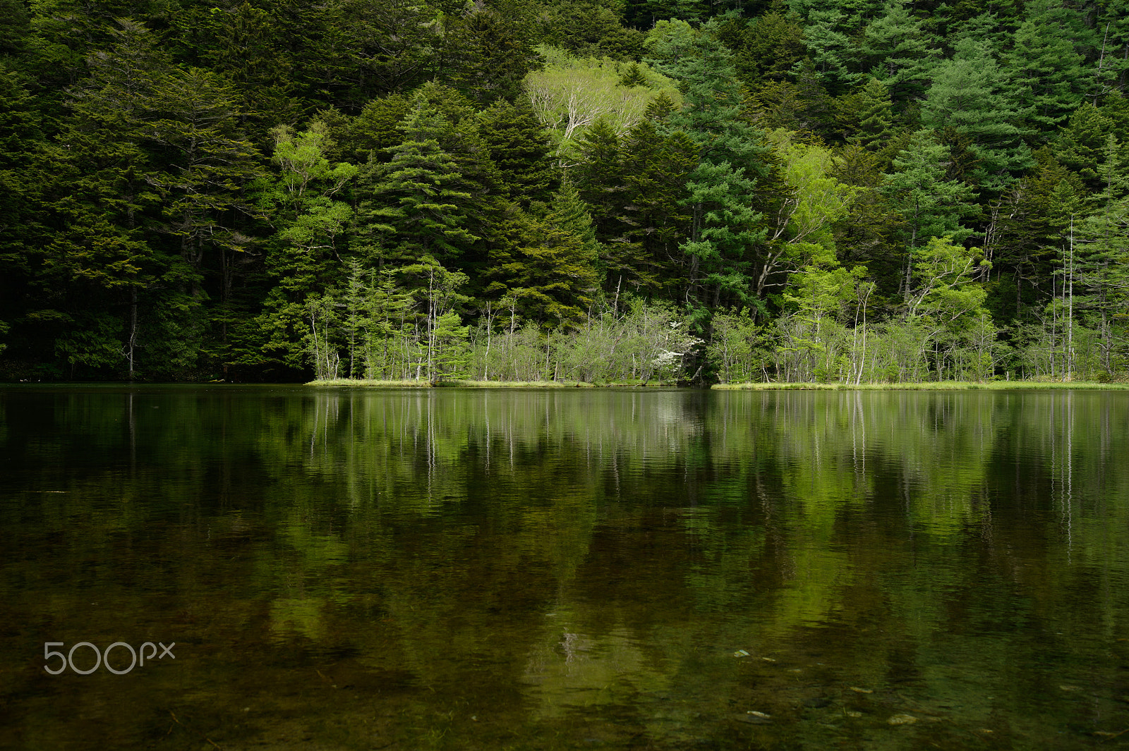 Nikon Df sample photo. Small island photography