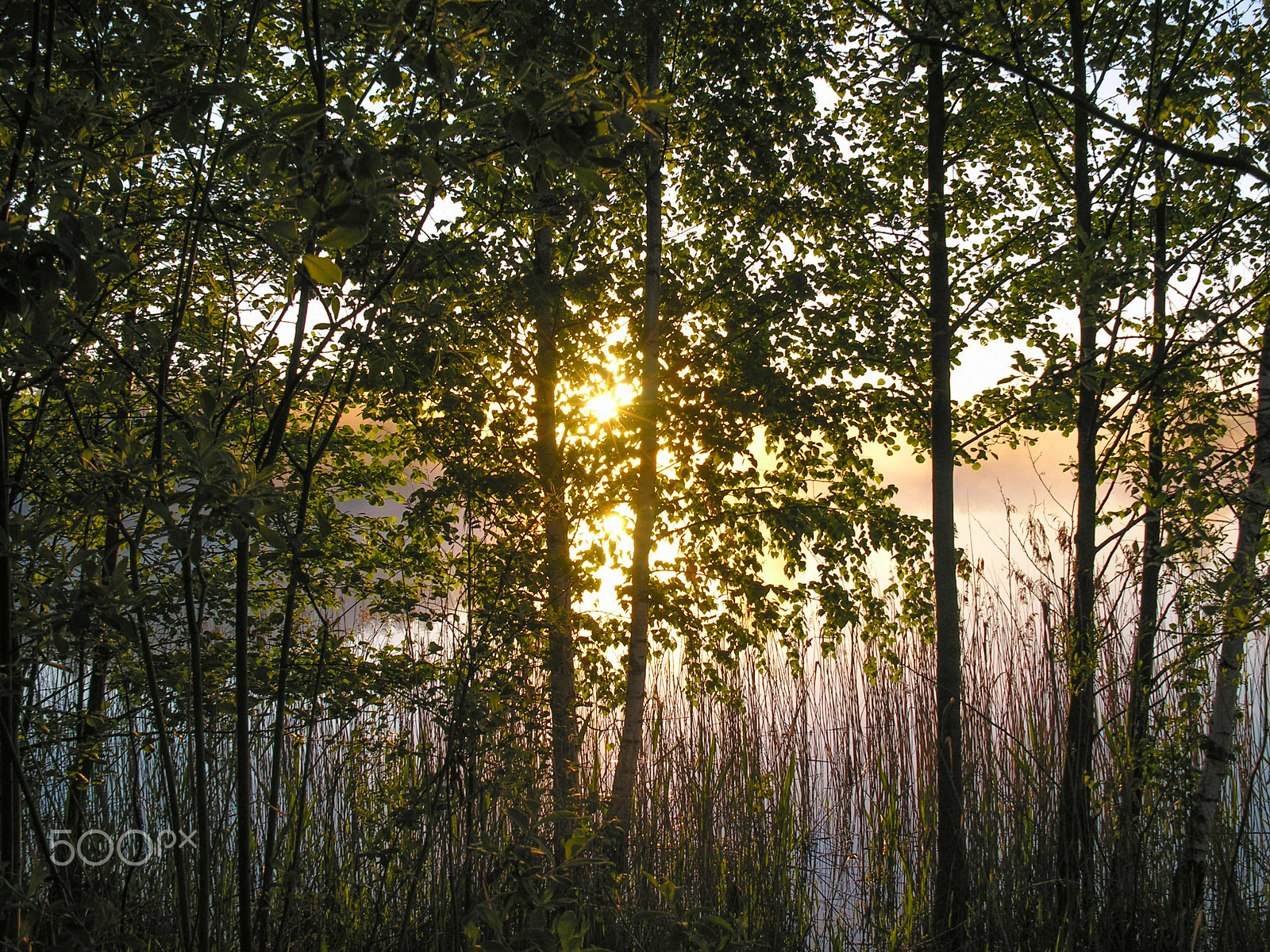 Nikon E8800 sample photo. Sunrise on the lake photography