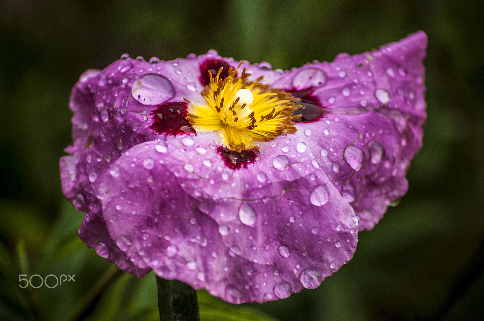 Nikon D40 sample photo. When the rain stops photography