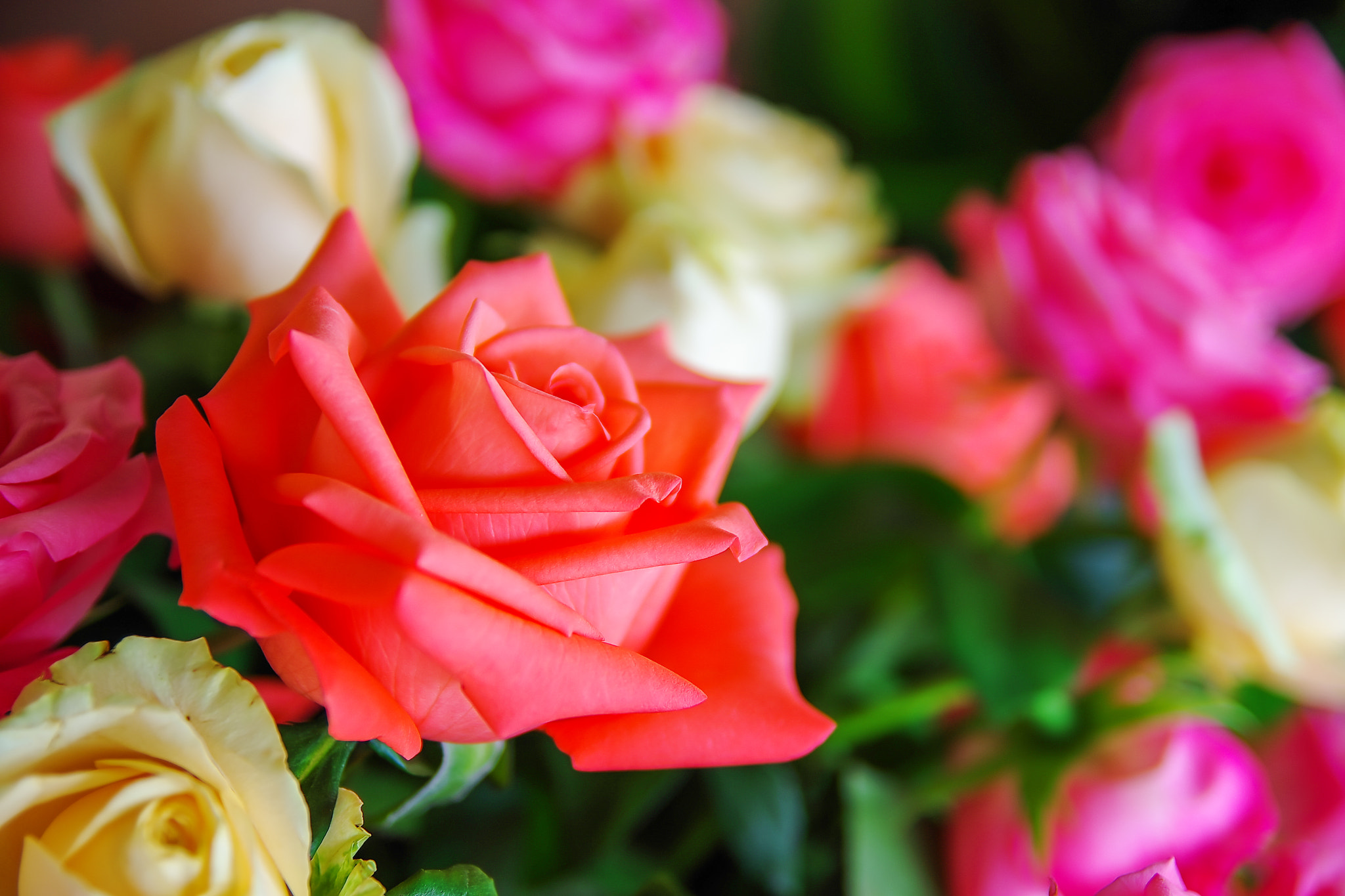 Pentax K-5 II sample photo. Bouquet of roses photography