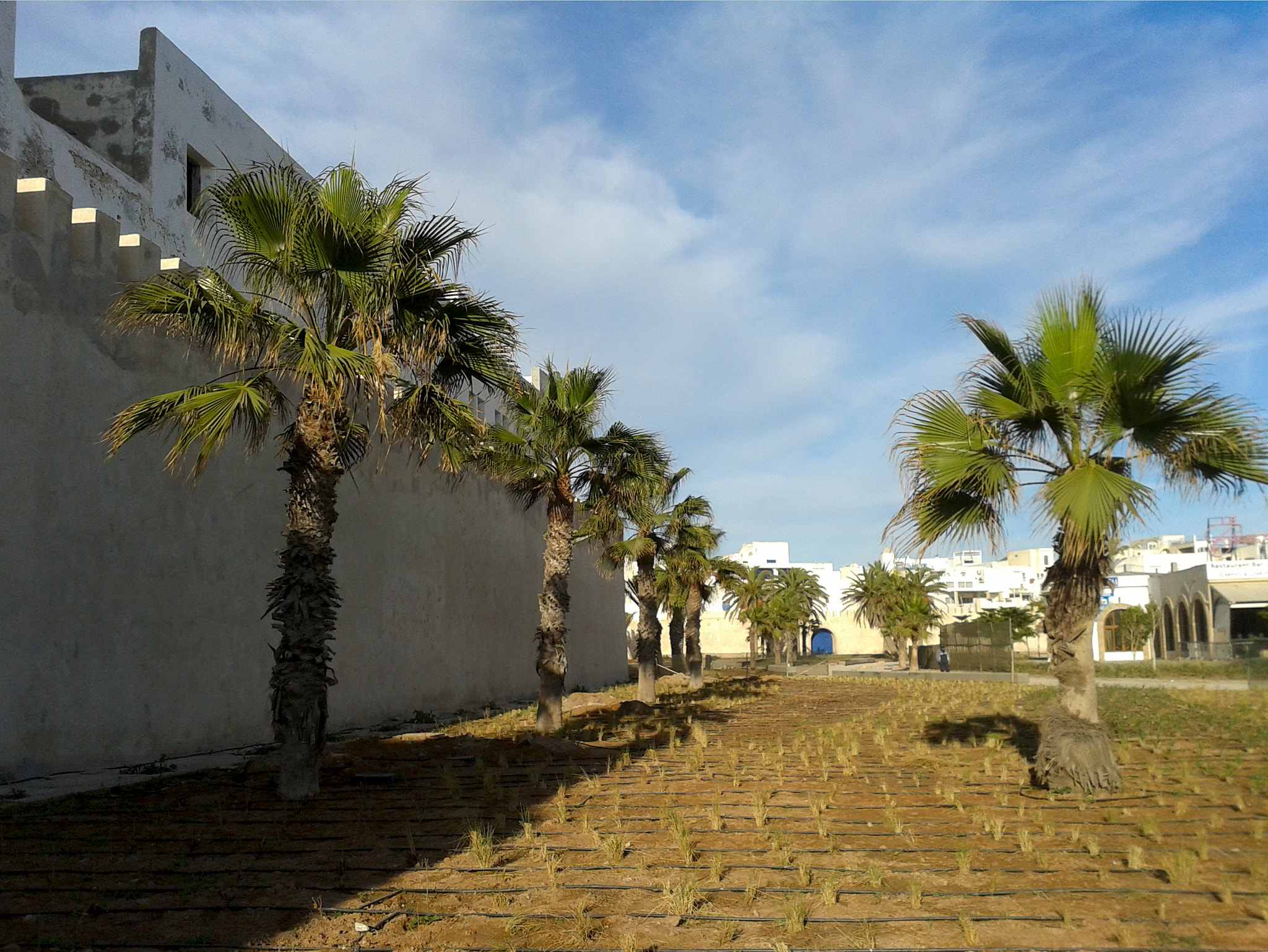 Samsung Galaxy S Advance sample photo. Essaouira, morocco photography