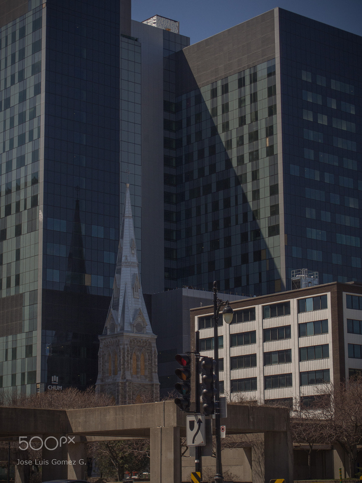 Olympus PEN E-PM2 sample photo. Among giants photography