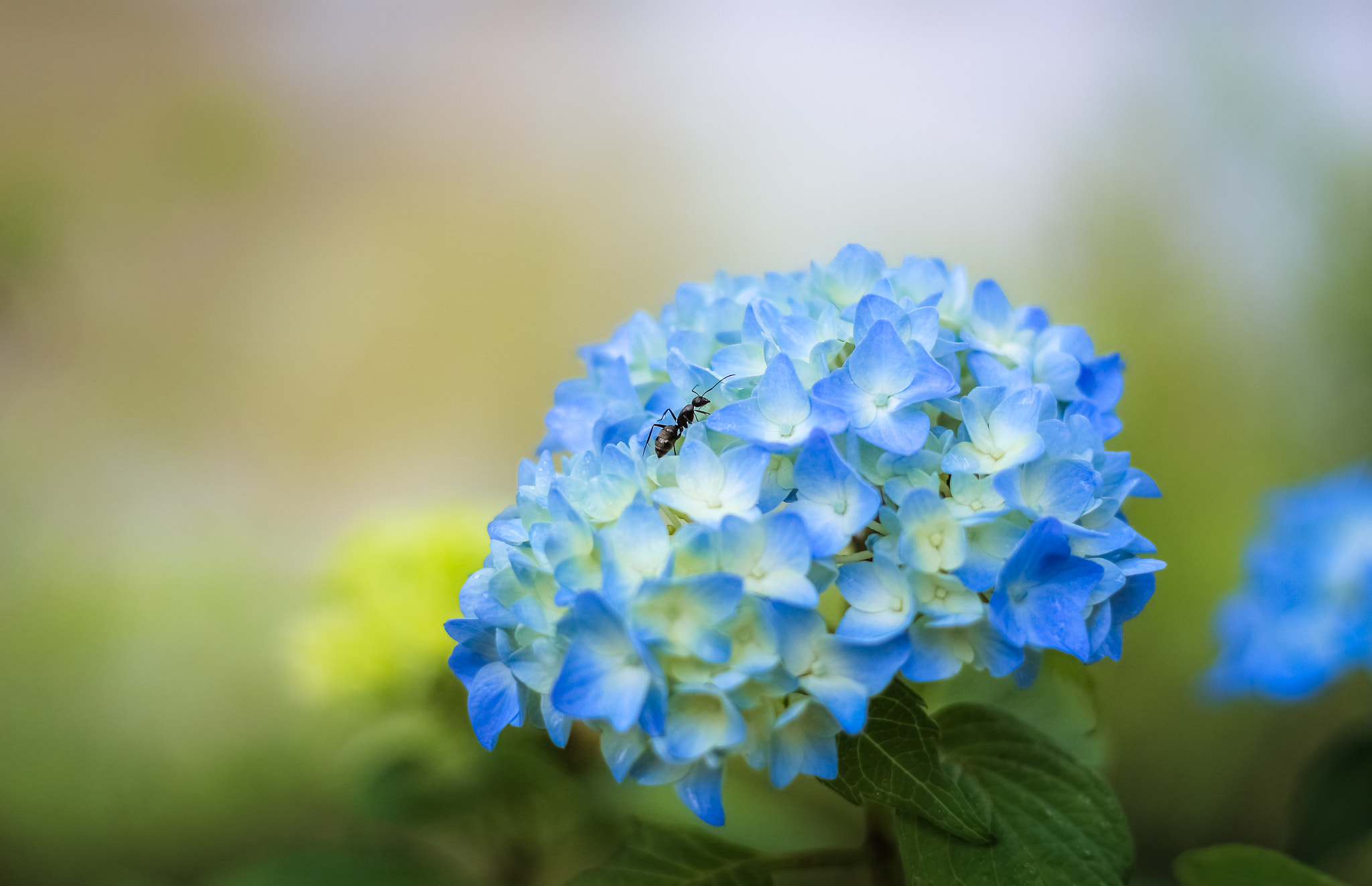 Canon EOS 650D (EOS Rebel T4i / EOS Kiss X6i) sample photo. Climbing up photography