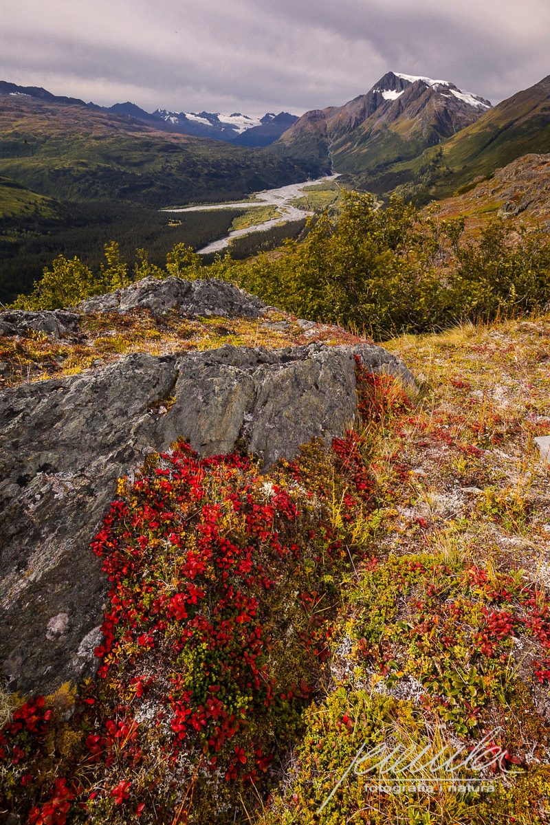 Canon EOS-1D X + Canon EF 16-35mm F4L IS USM sample photo. Road to valdez photography