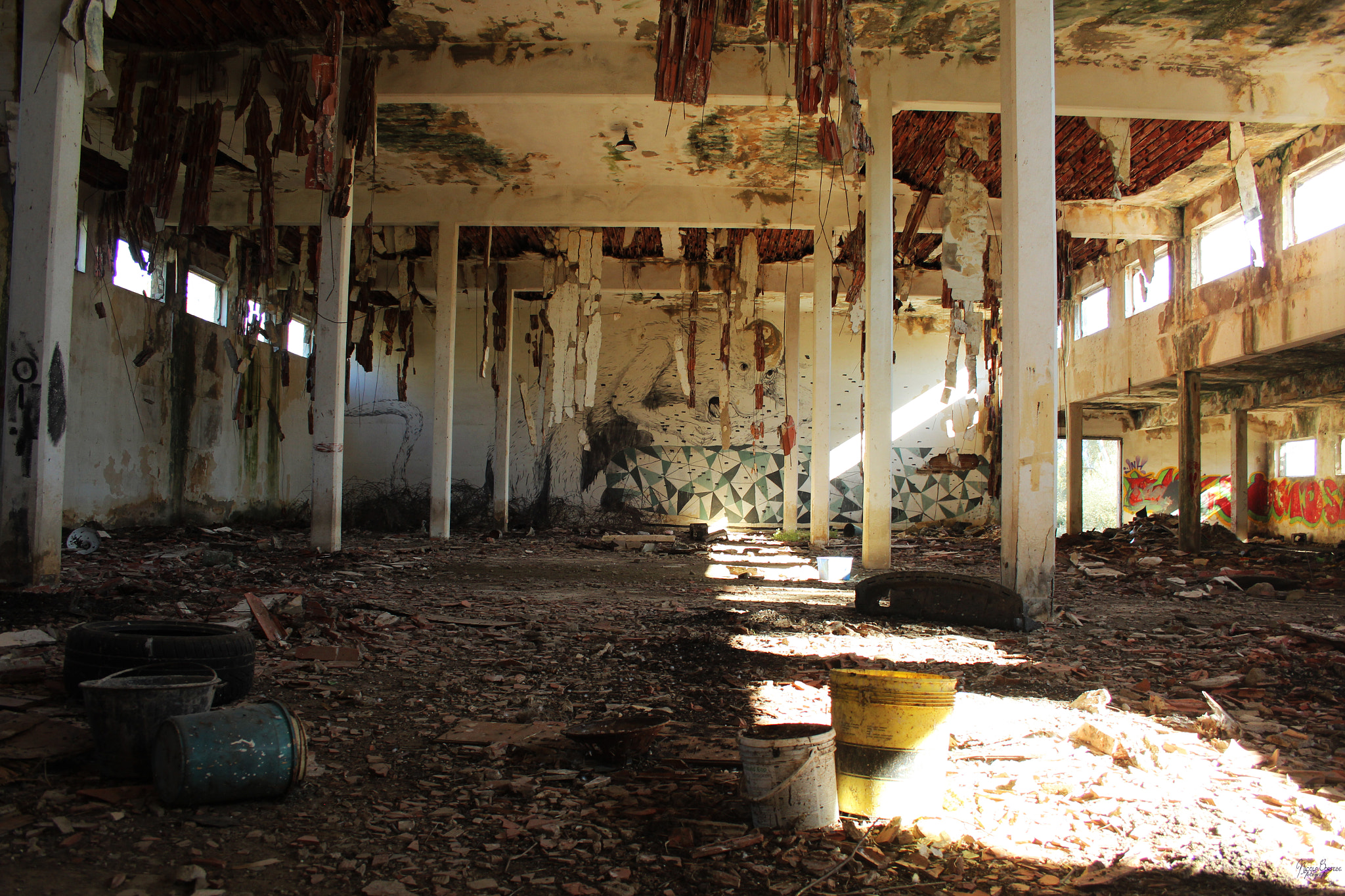 Canon EF-S 18-55mm F3.5-5.6 sample photo. Rotten and decay photography