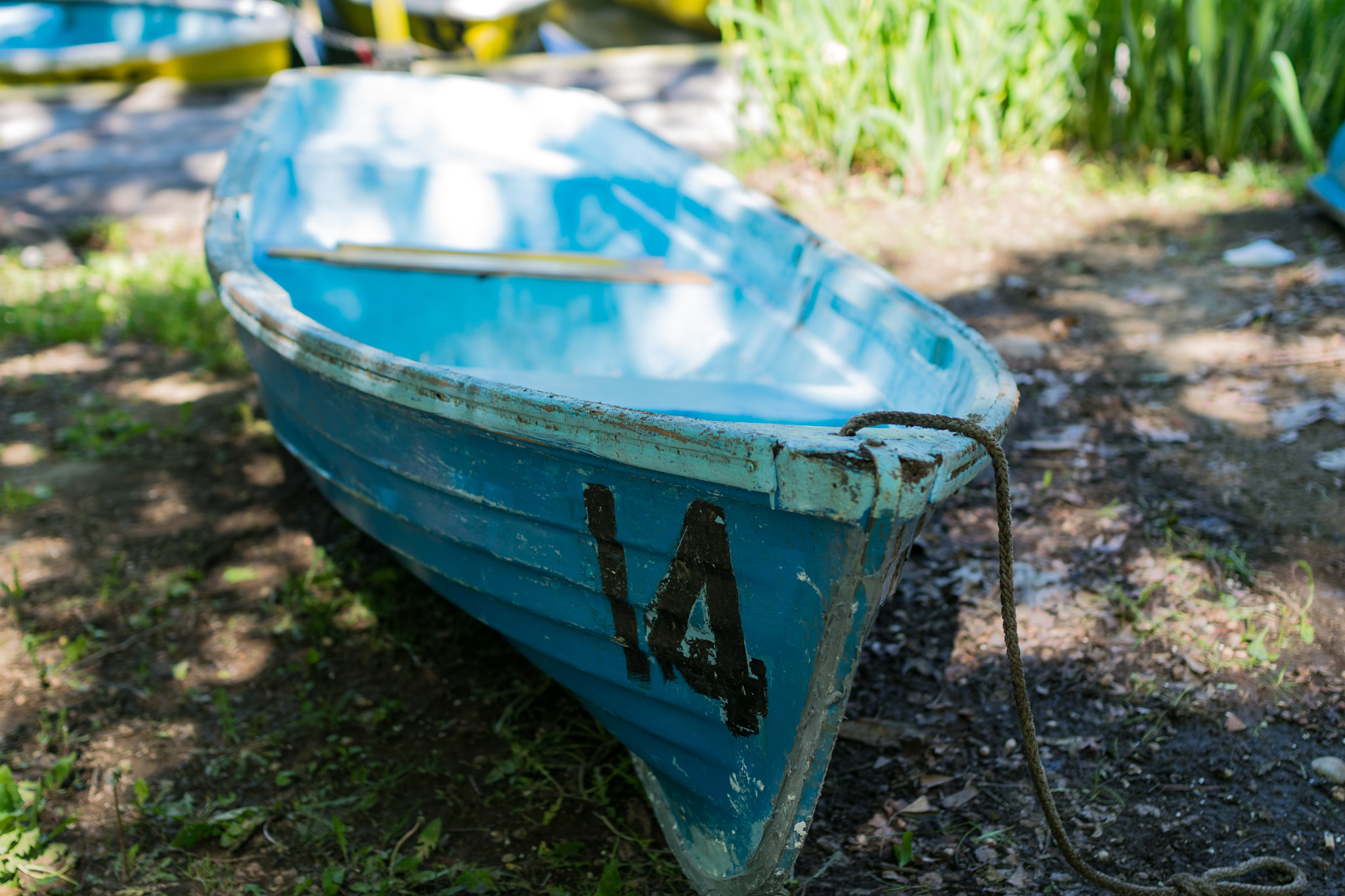 Nikon D5300 + Sigma 35mm F1.4 DG HSM Art sample photo. Number:14 photography