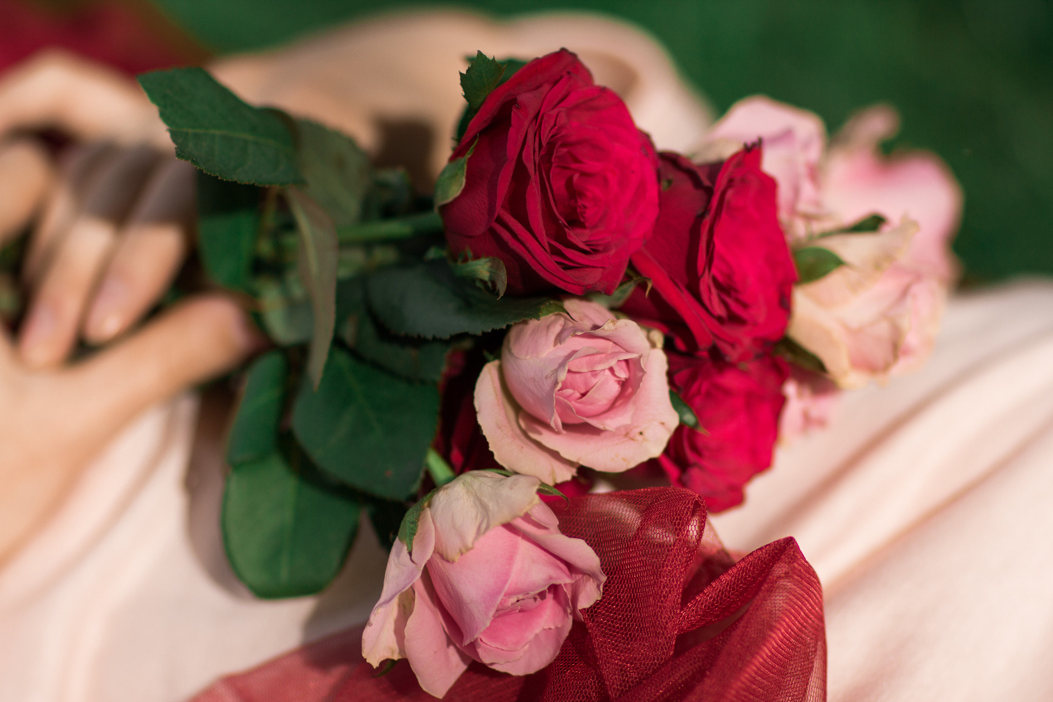Canon EOS 60D + Canon EF 85mm F1.2L II USM sample photo. Roses photography