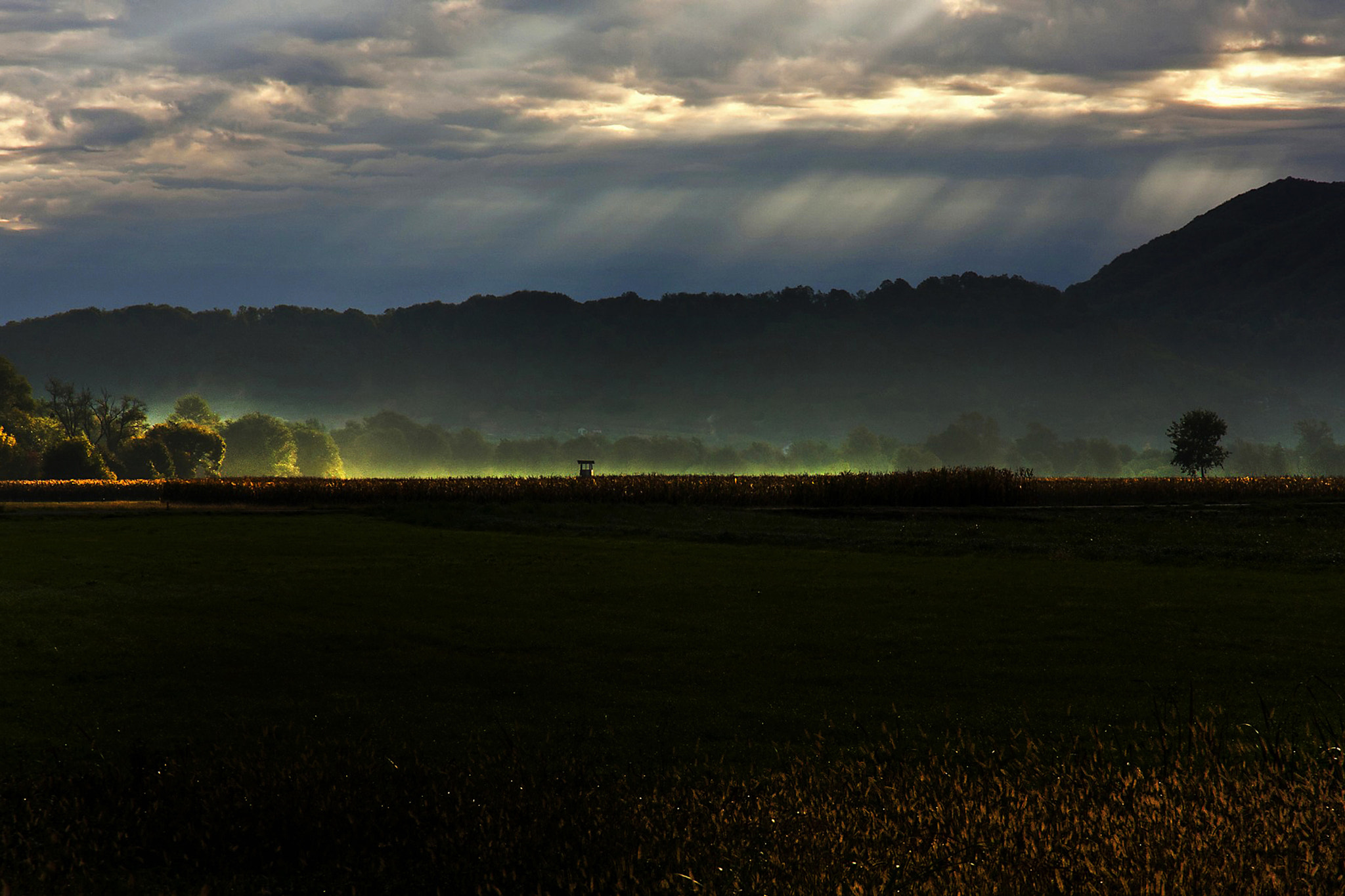 Canon EOS 40D sample photo. Bistrica field photography