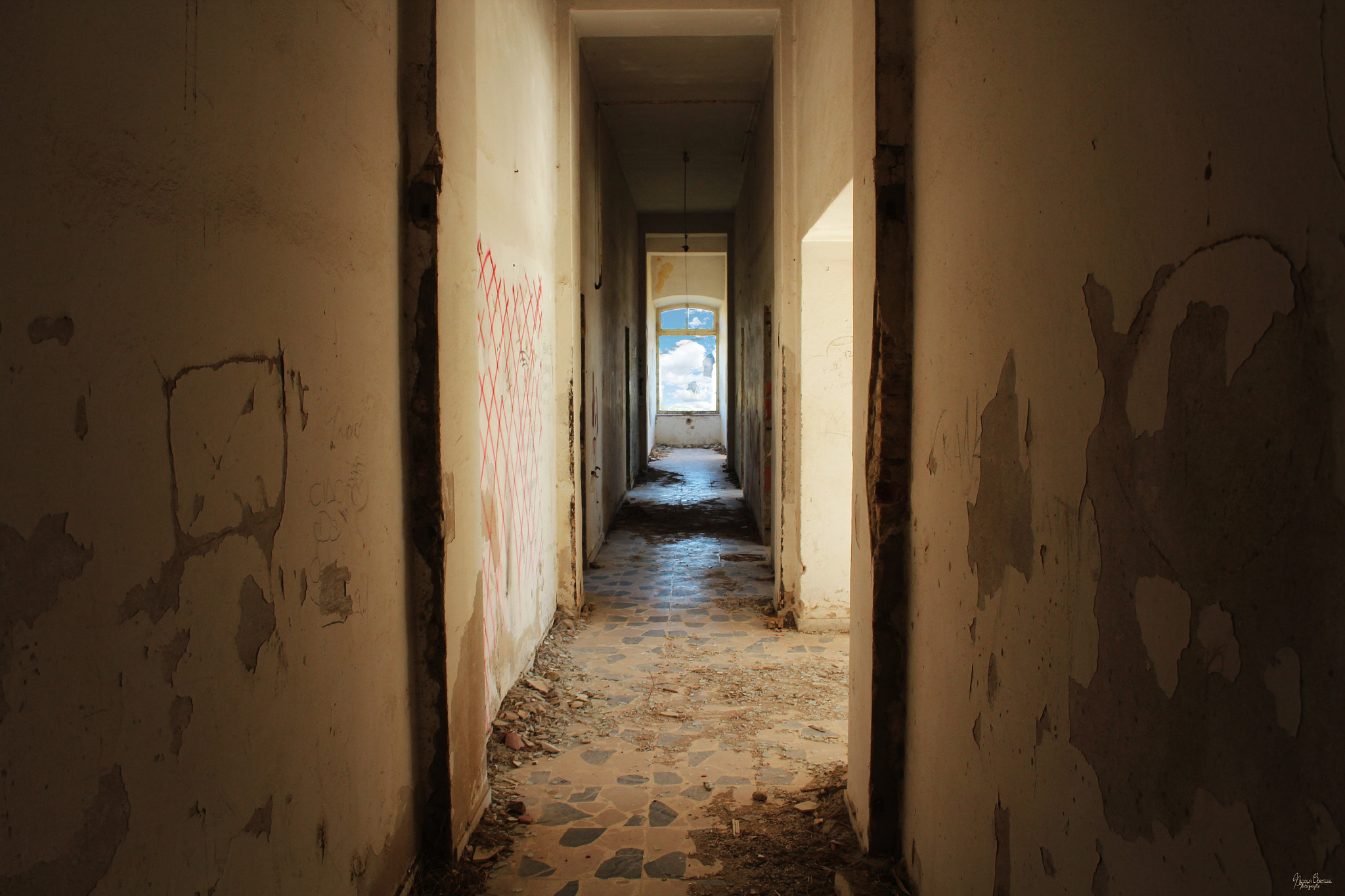 Canon EF-S 18-55mm F3.5-5.6 sample photo. The great escape photography