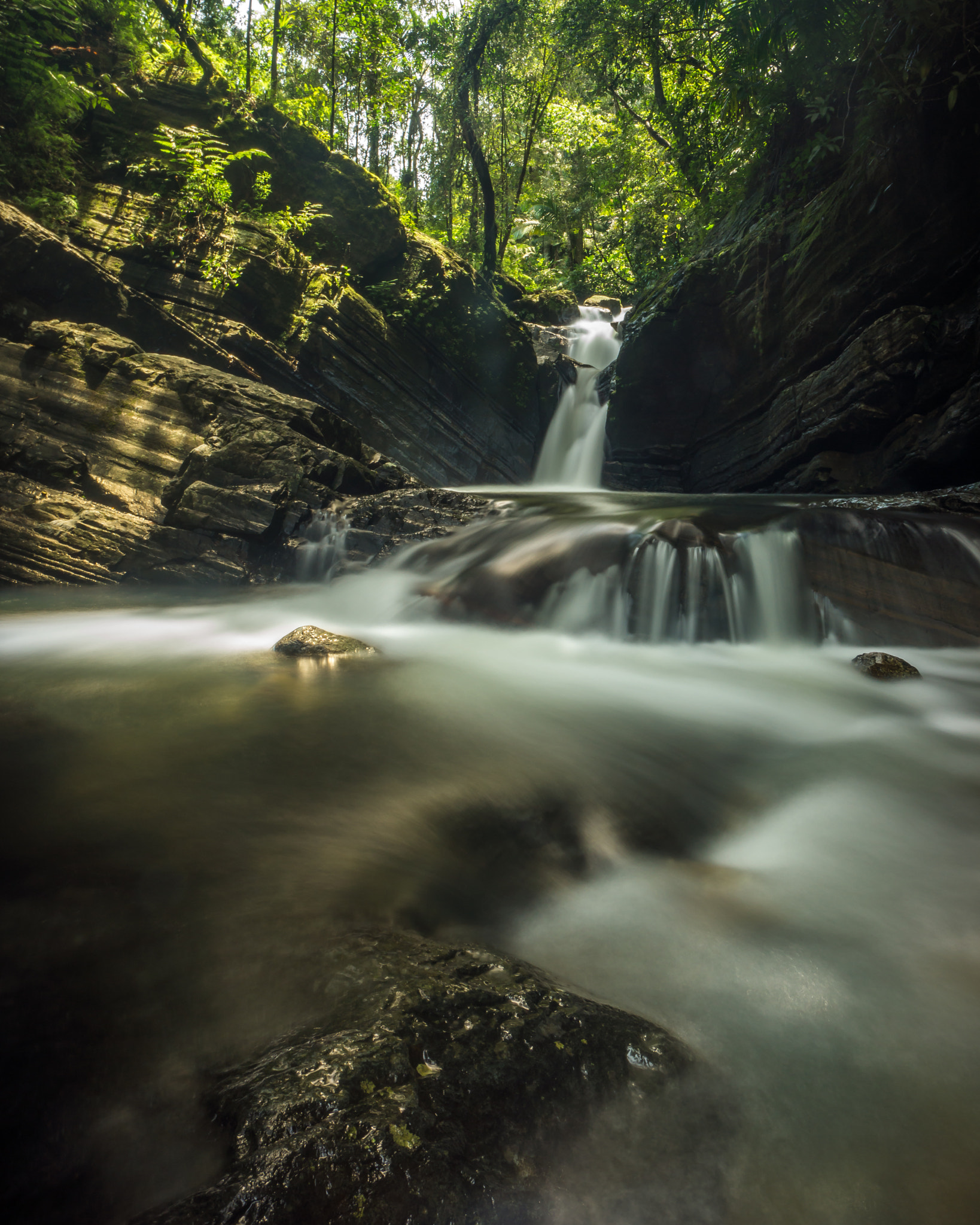 Sony Alpha NEX-7 + Sony E 10-18mm F4 OSS sample photo. El yunque photography
