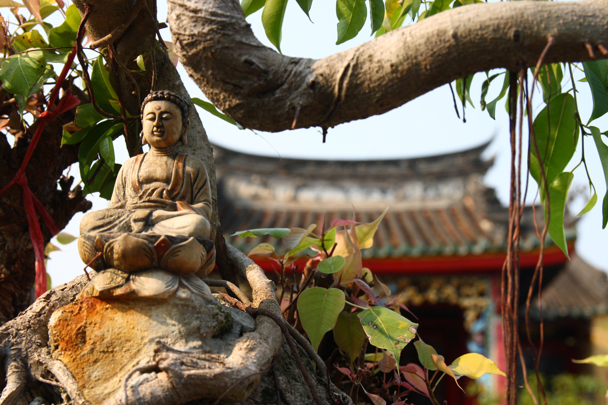 Canon EOS 1000D (EOS Digital Rebel XS / EOS Kiss F) sample photo. Vietnam 2016 photography