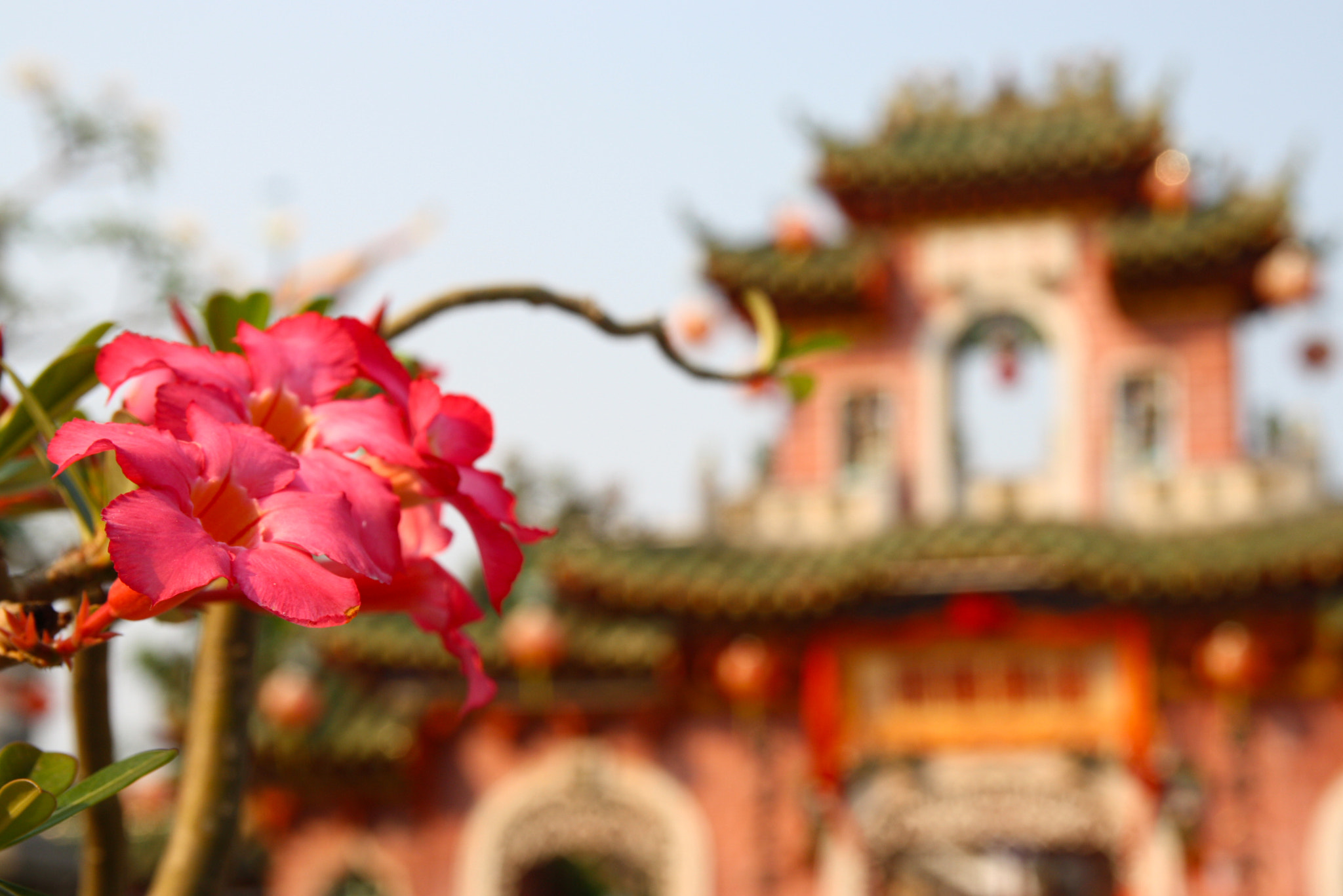 Canon EOS 1000D (EOS Digital Rebel XS / EOS Kiss F) sample photo. Vietnam 2016 photography