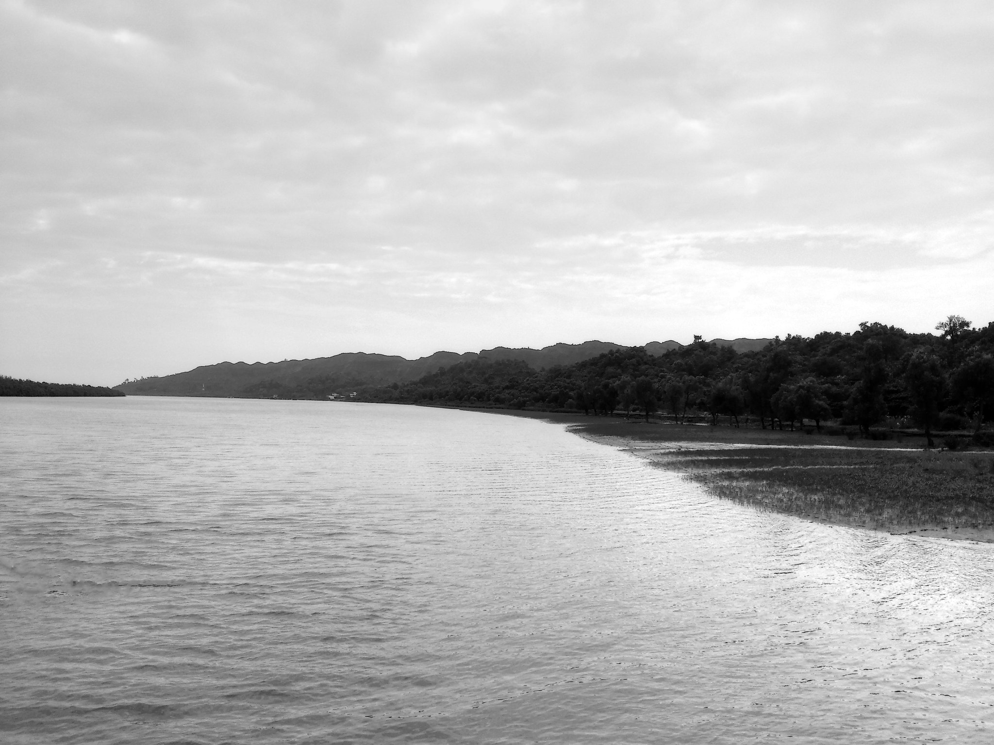 Sony Xperia V sample photo. Divider photography
