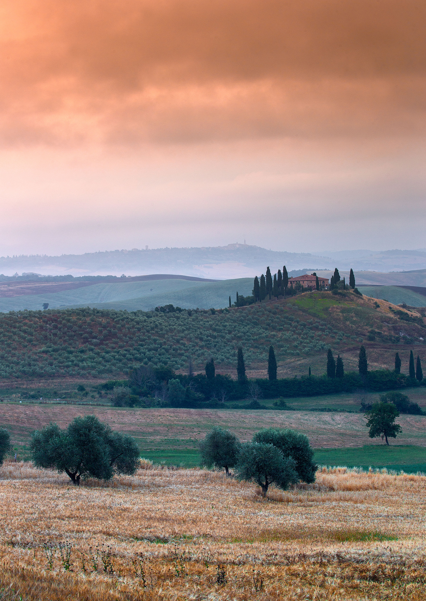 Canon EF 70-300mm F4-5.6L IS USM sample photo. Podere belvedere photography