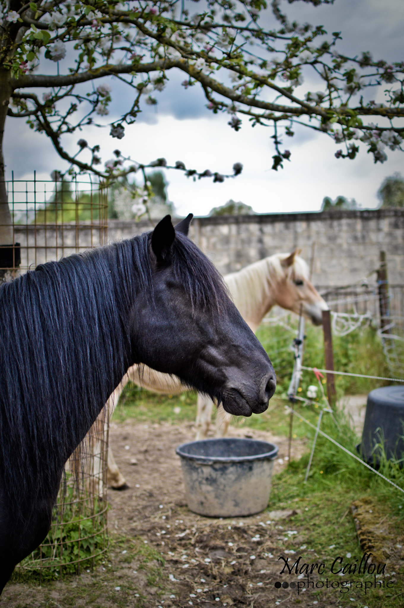 Nikon D3200 + Nikon AF-S Nikkor 35mm F1.4G sample photo. 20160516-dsc_0089.jpg photography